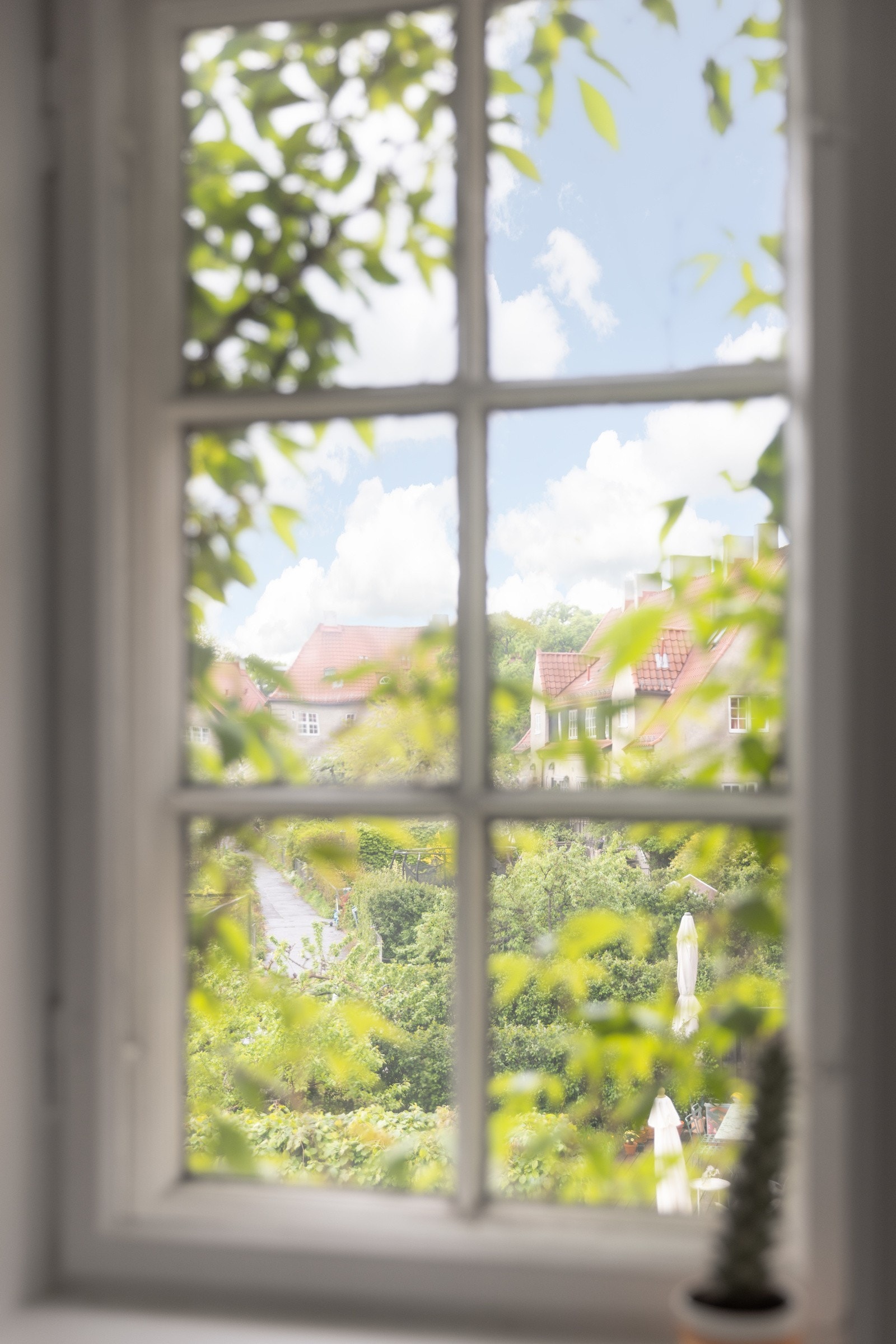 Detaljer | Vakkert og frodig utsyn. Galleribilde