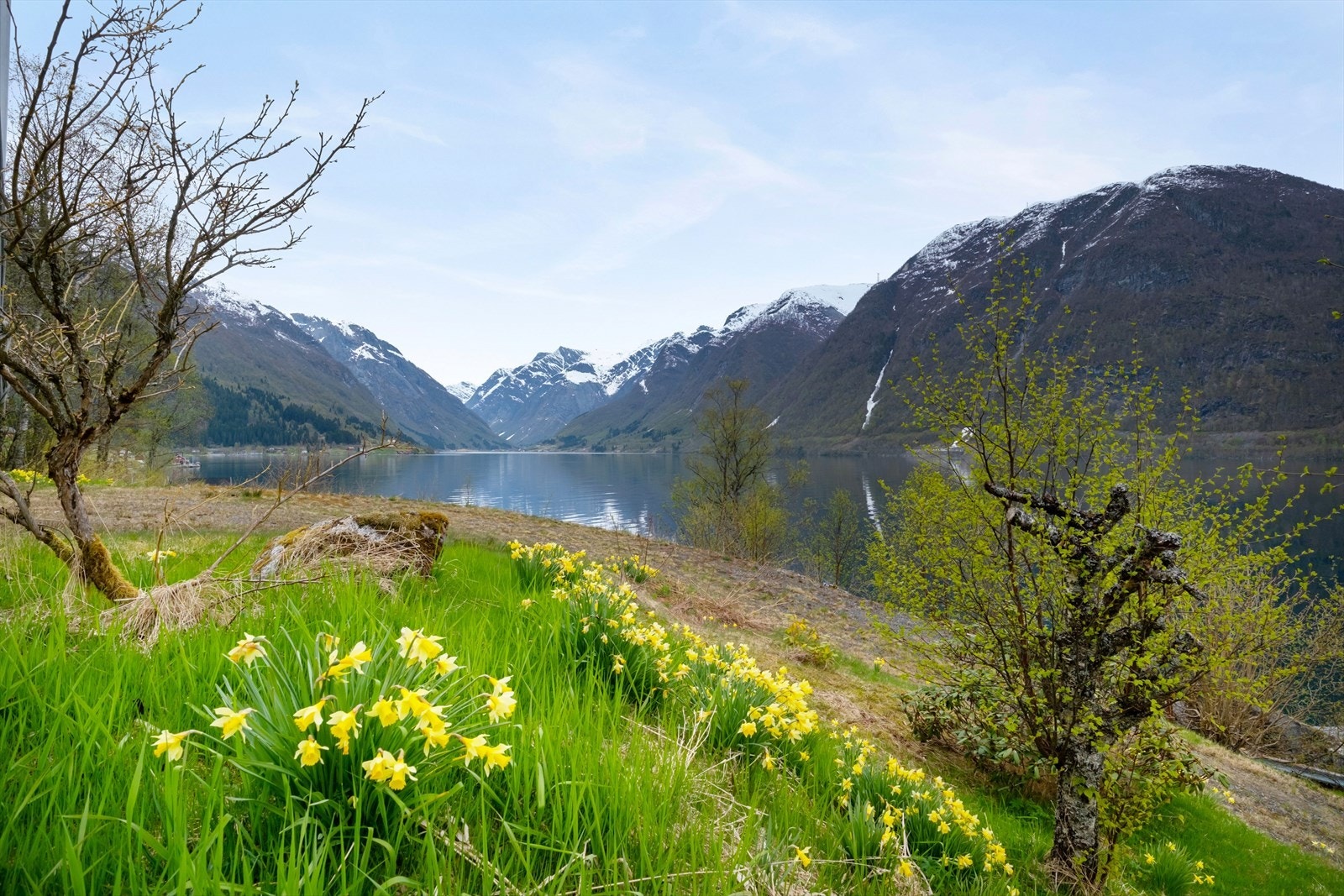 Eigedomen har omlag 3 mål tomt som grensar til fjorden, men er avdelt av FV 613. Galleribilde
