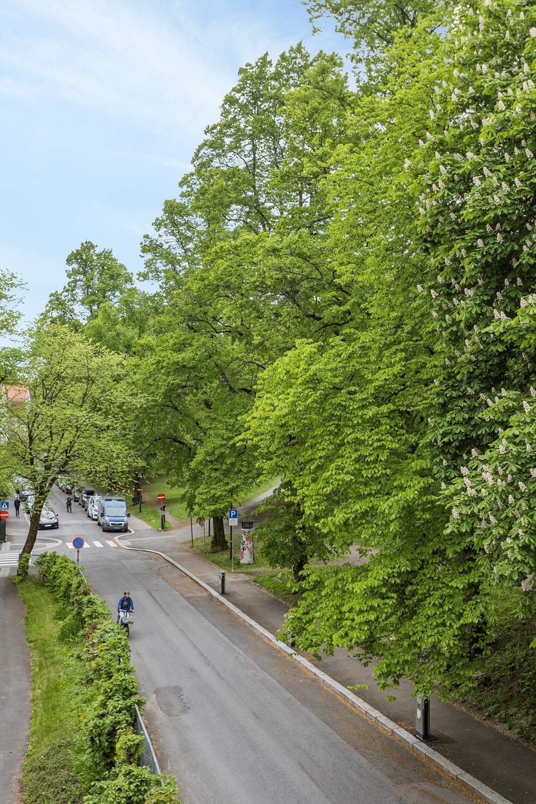 Her bor man med parken, som har hyggelige og belyste gangveier, store grøntarealer, og uteservering på sommerstid, som nærmeste nabo Galleribilde
