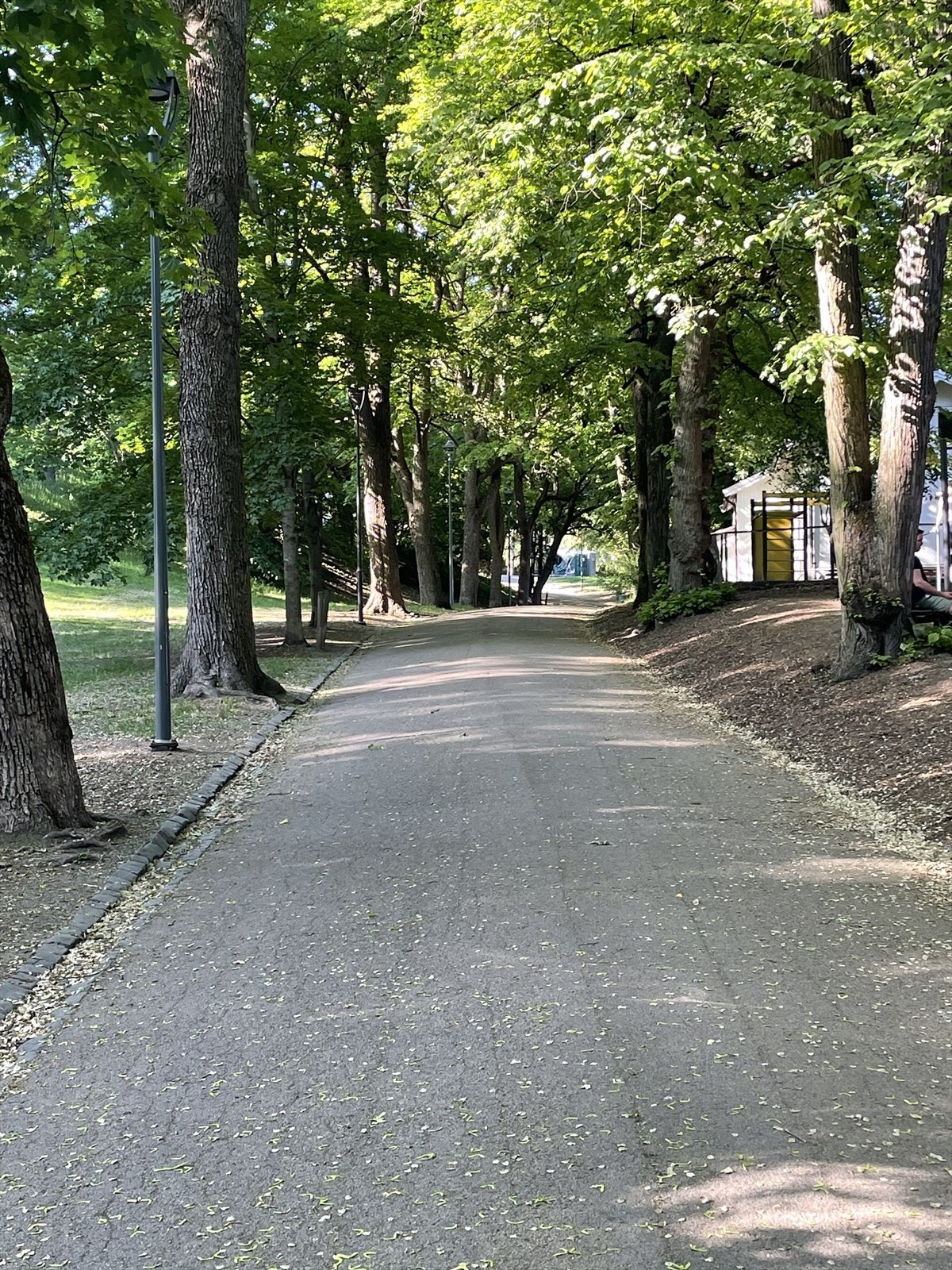 Parken på St. Hanshaugen Galleribilde