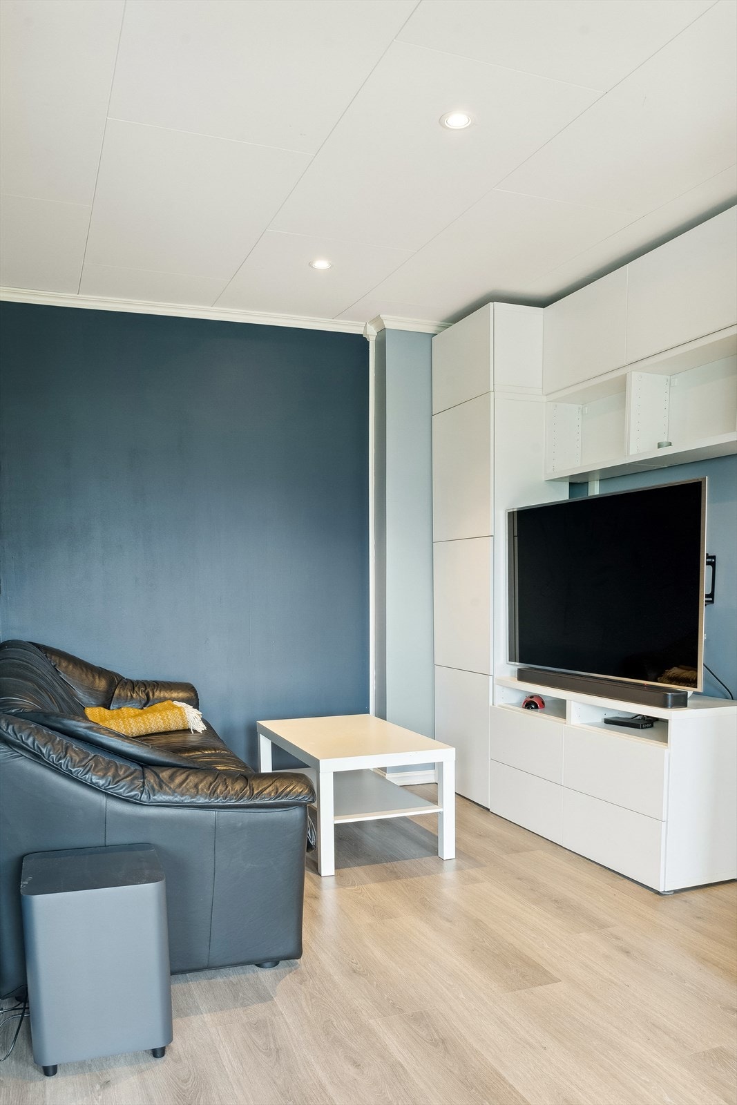TV-krok på stuen. Galleribilde