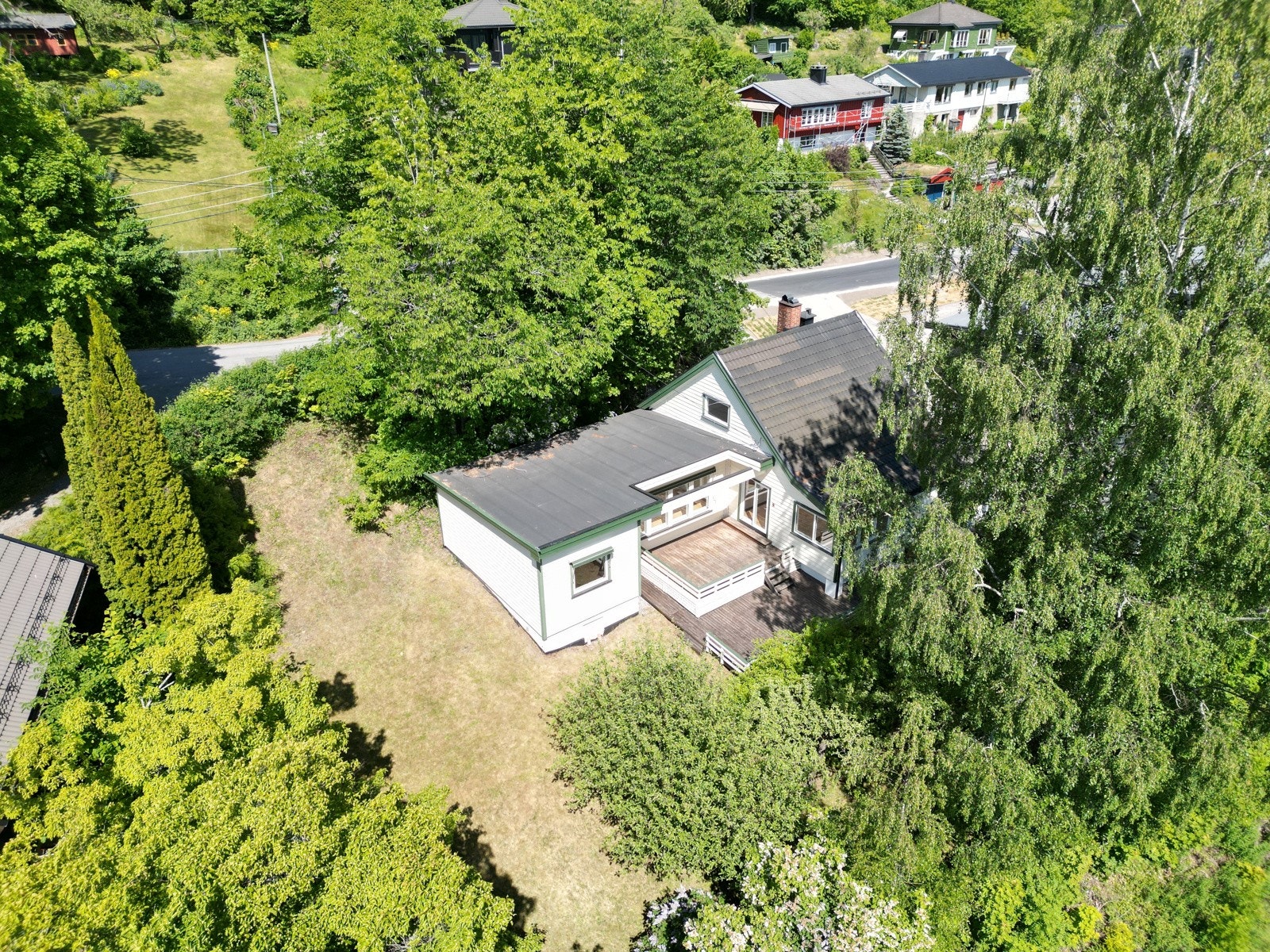Pent opparbeidet tomt med plenareal, terrasse og diverse beplantning. Galleribilde