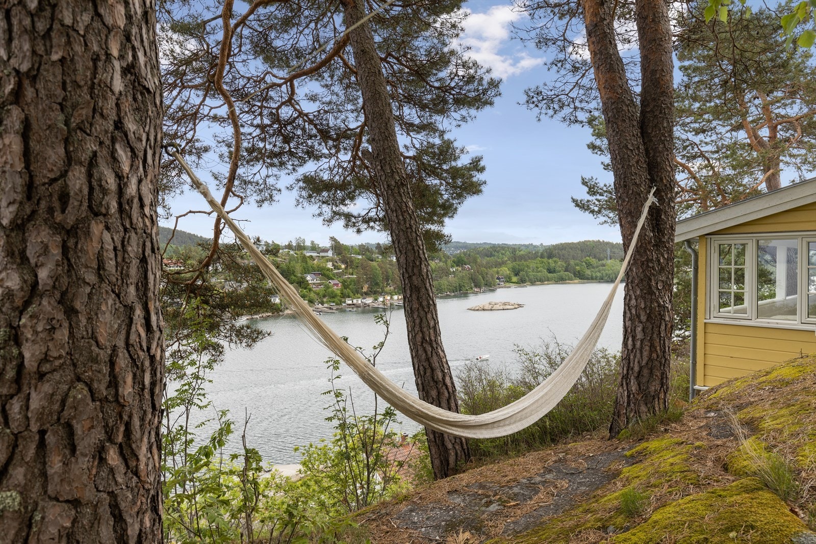 Frodig og idyllisk tomt. Galleribilde