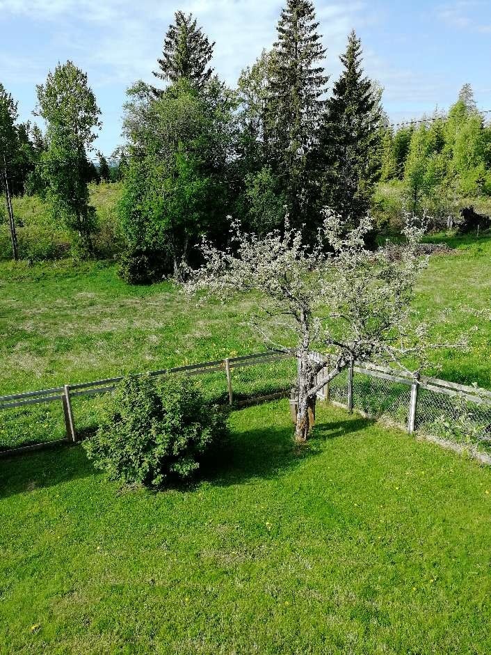 Eiendommen ligger i landlige omgivelser i Lismarka og grenser mot utmark og skog. Galleribilde