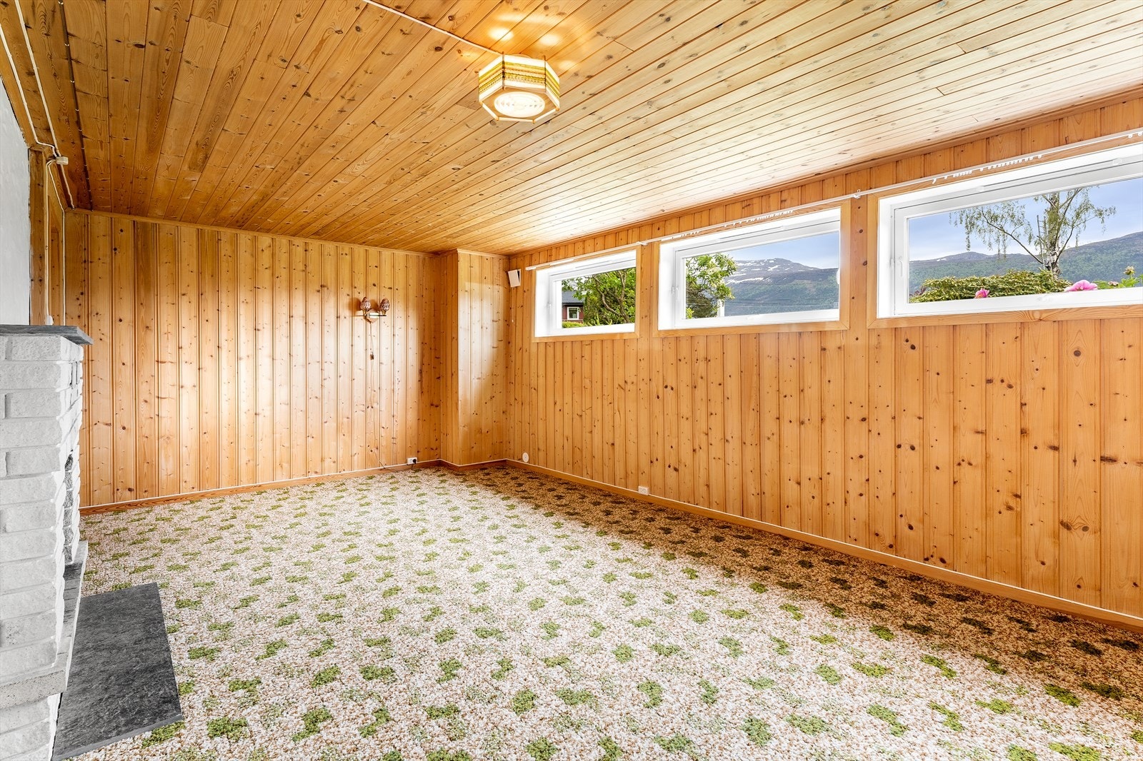 Kjelleretasjen inneholder en koselig kjellerstue med teppe på gulvet og panel/malt puss på veggene. Galleribilde