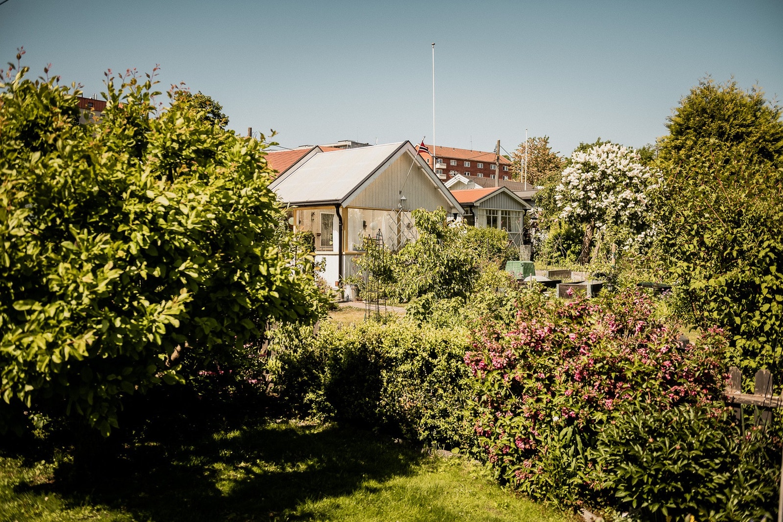 Rodeløkkas kolonihager er blant hjemmets nærmeste naboer. Galleribilde