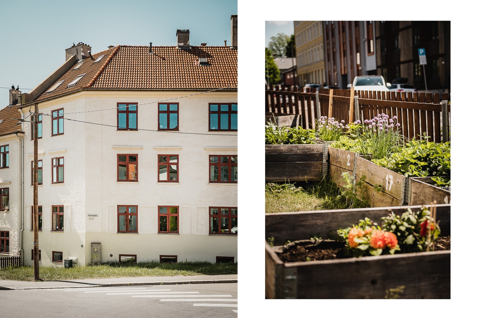 Plantekasser til dyrking av urter eller grønnsaker. Galleribilde