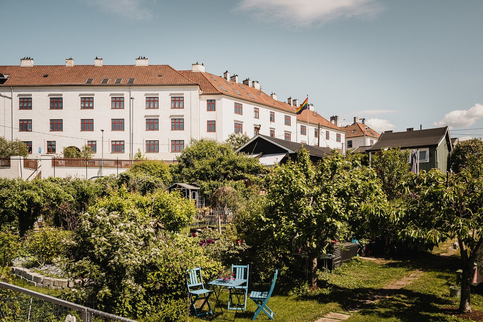 Frodig og idyllisk nærområde. Galleribilde
