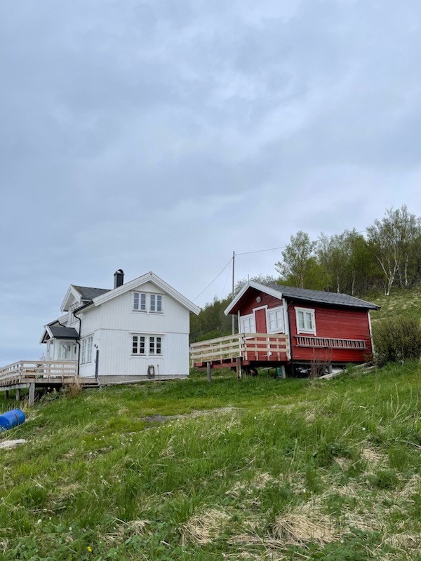 IMG_3882.jpg Galleribilde