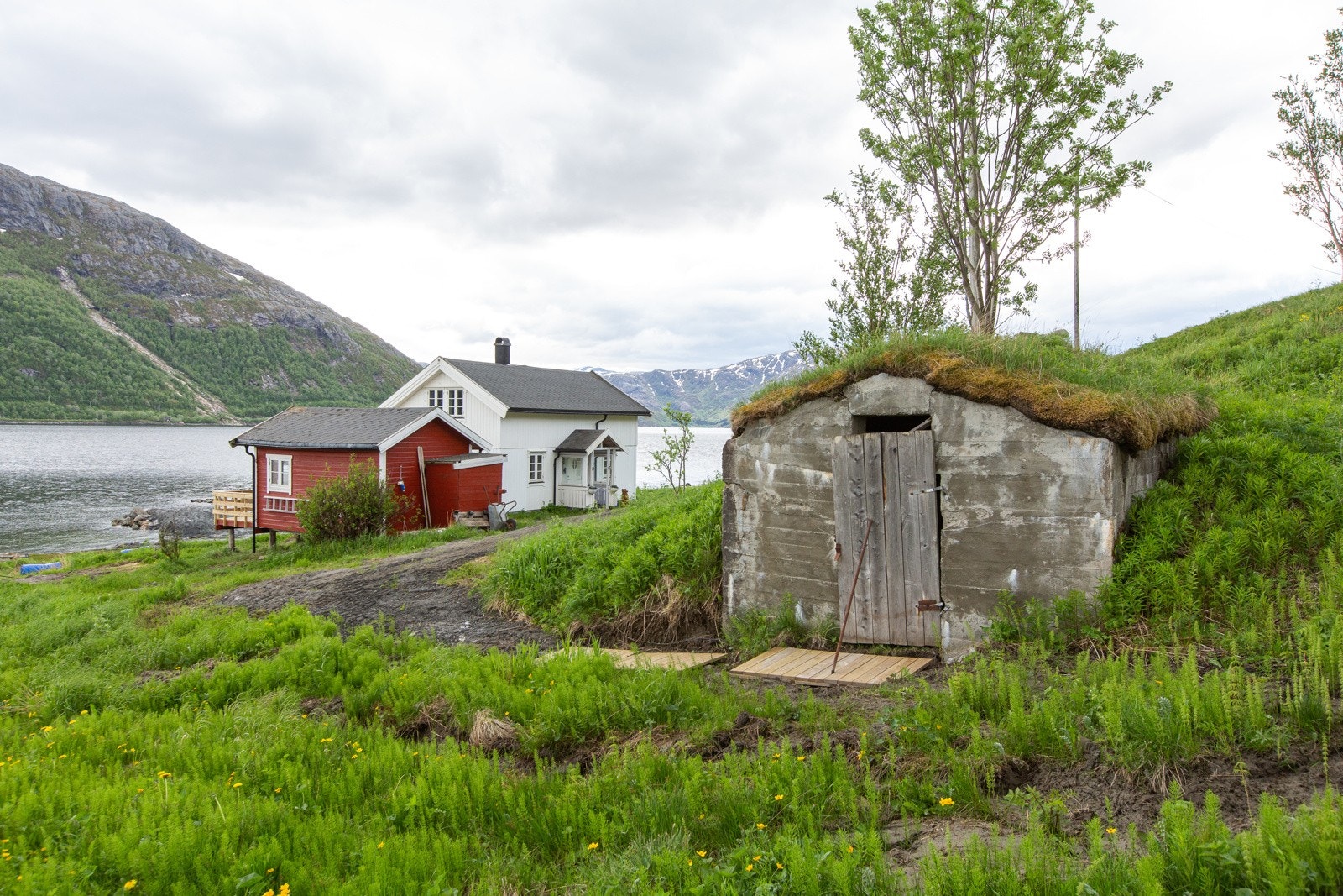 Jordkjeller et par meter nord for hytta Galleribilde