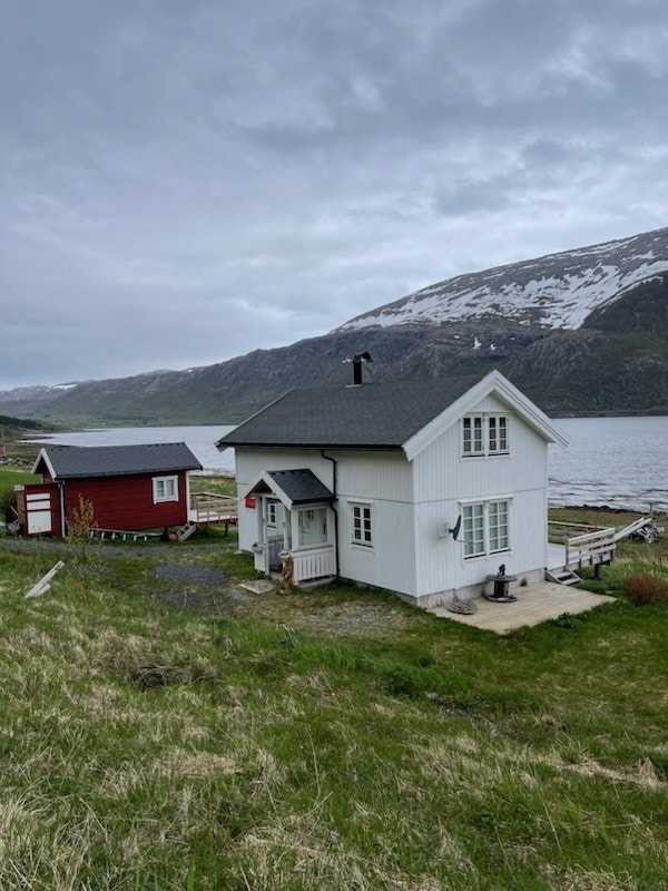 IMG_3884.jpg Galleribilde