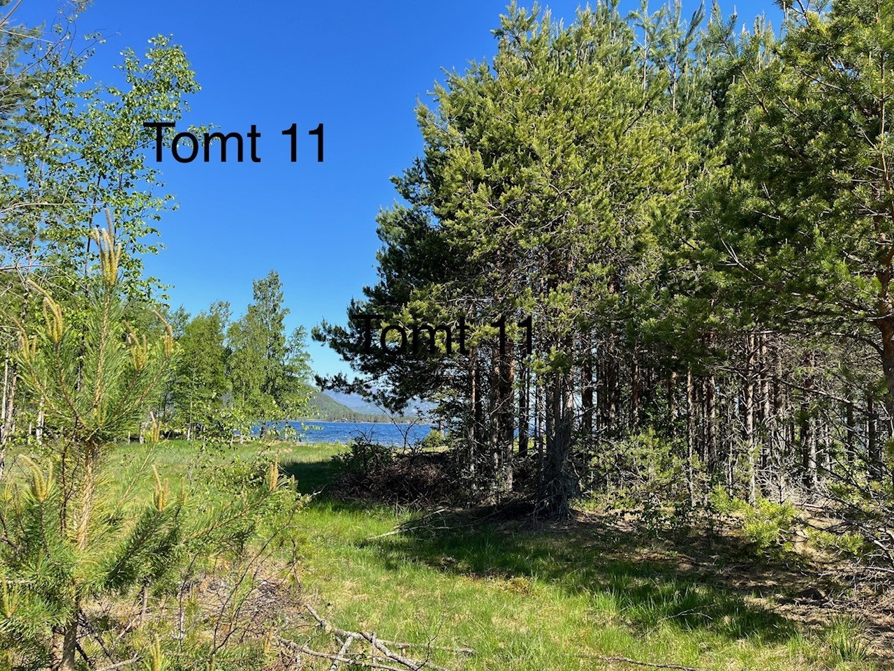 Tomt 11 - Kr. 1.020.000,- Galleribilde