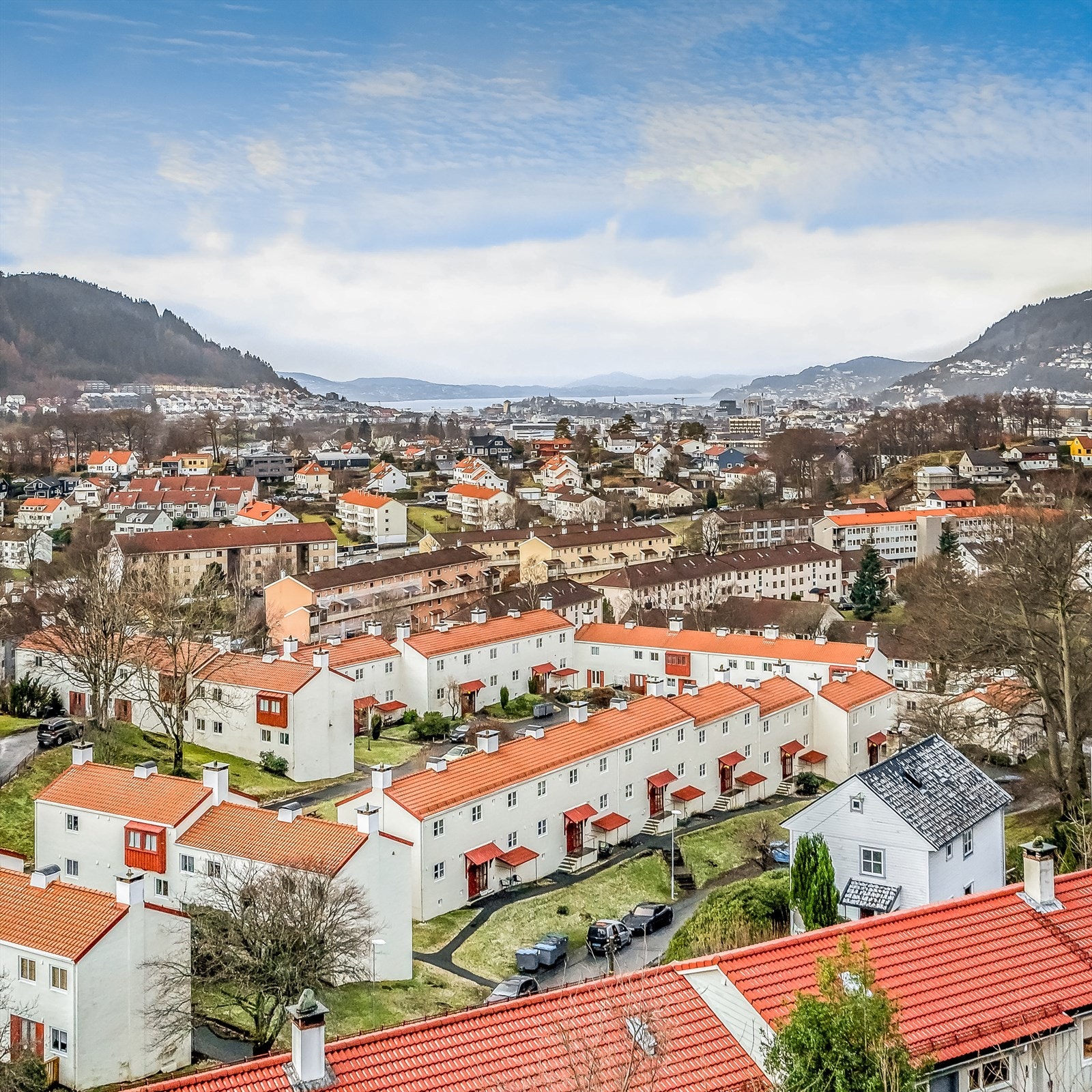 Oversiktsbilde av borettslaget. Galleribilde