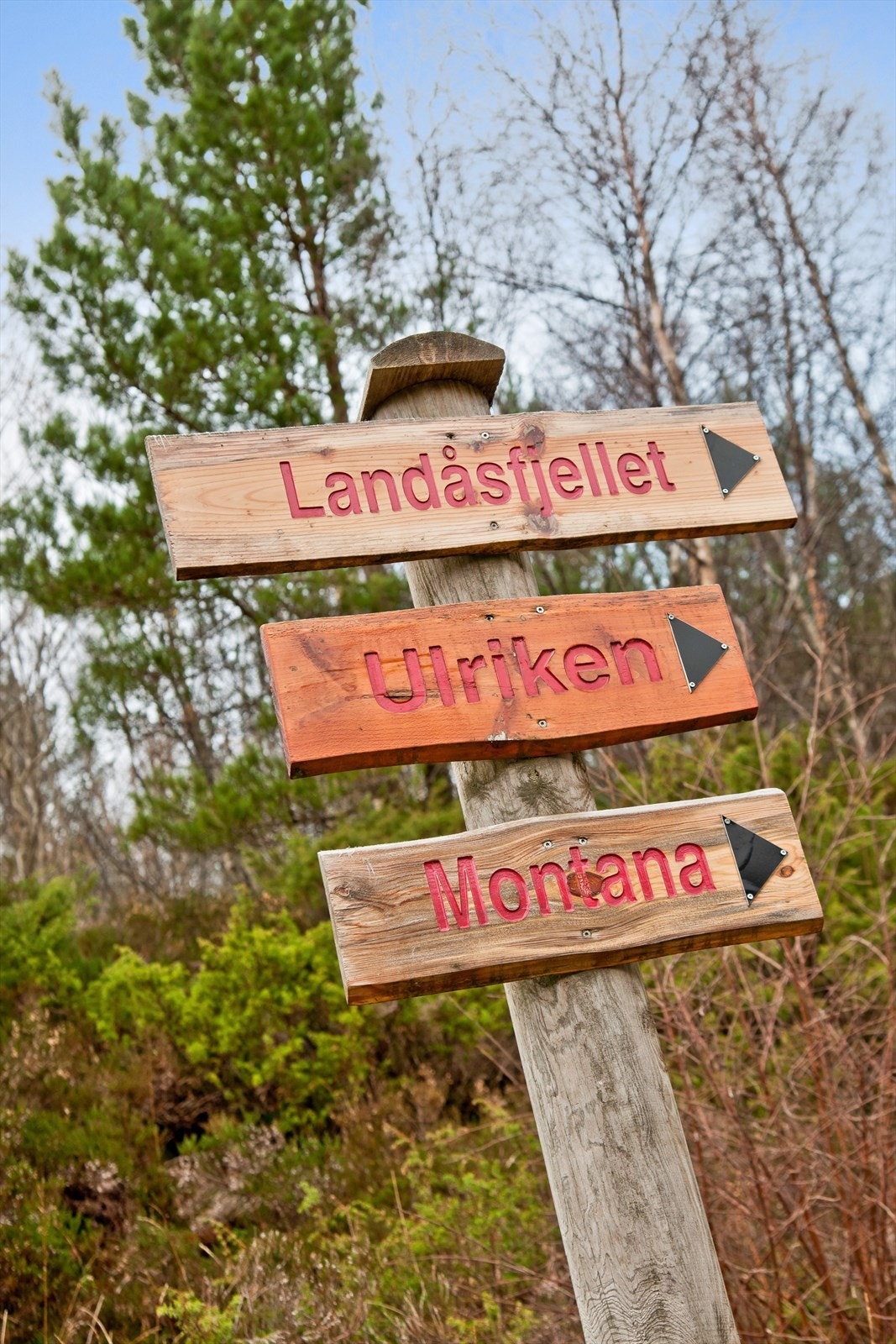 Hvor går turen i dag ? Galleribilde