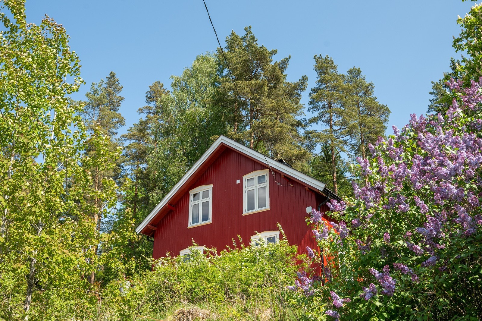 Beliggenheten har rask tilgang til store skogsområder og vann, så her ligger alt til rette for naturopplevelser. Galleribilde