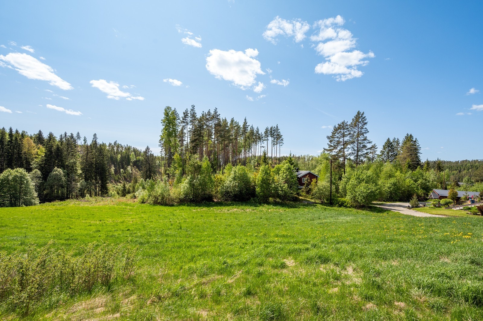 Eiendommen har ca 7 mål fulldyrka jord og ca 29 mål skog. Bildet viser jordet som ligger nedenfor uthusene. Galleribilde