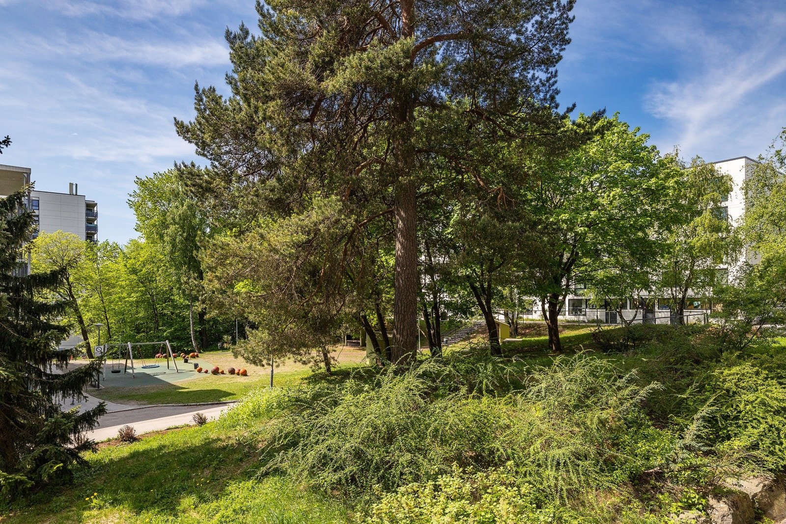Fellesareal. Galleribilde