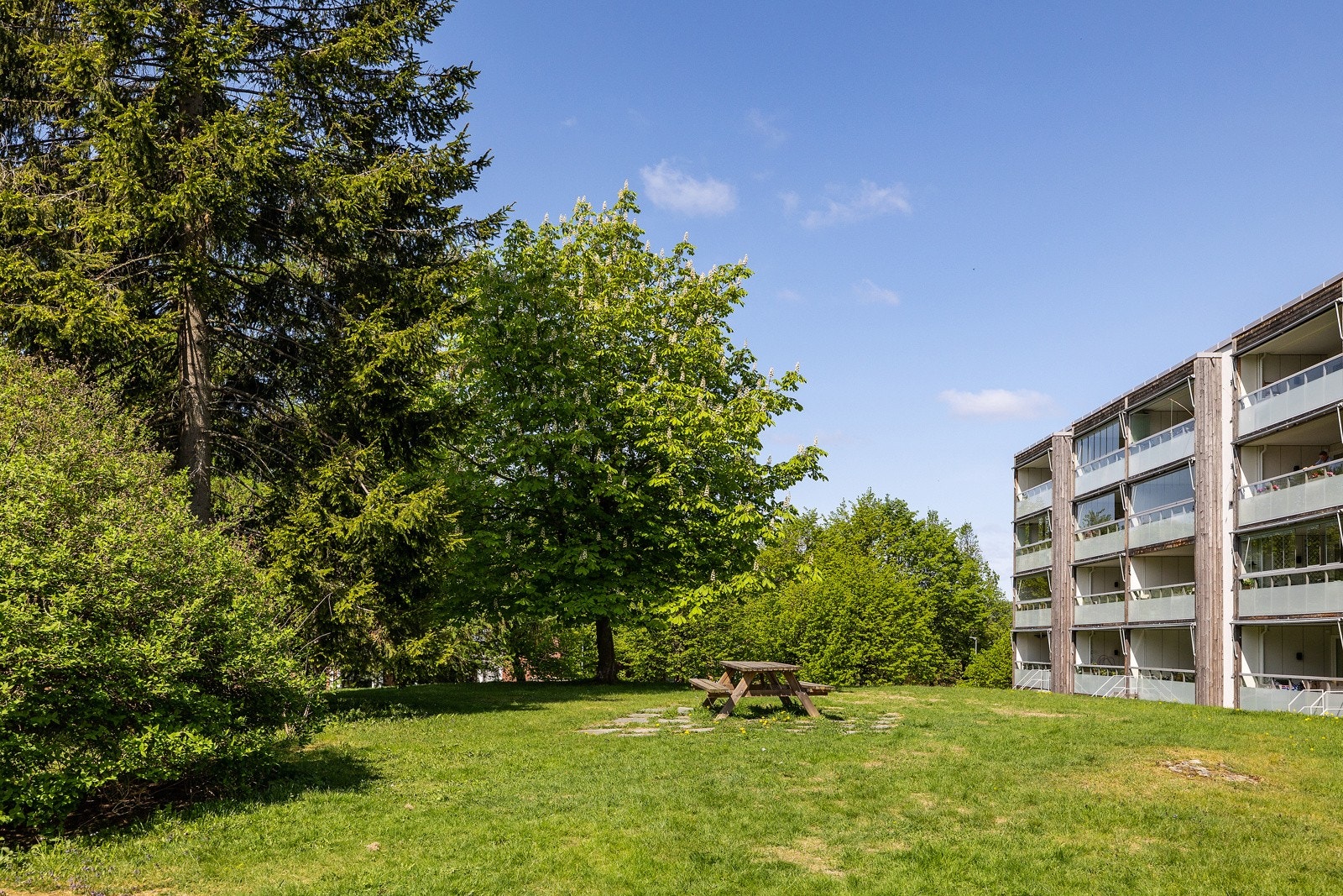 Fellesareal. Galleribilde