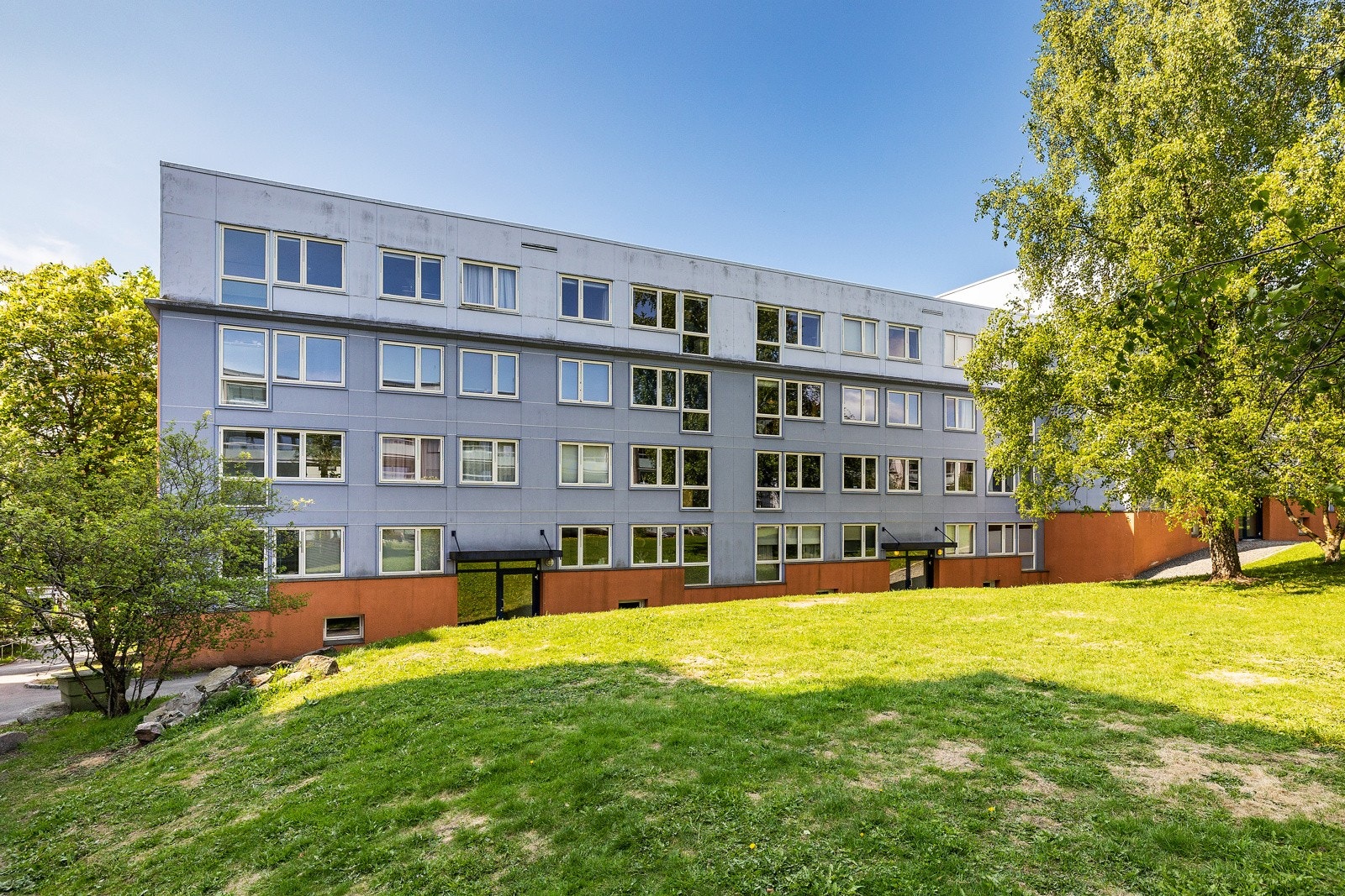 Hyggelig grøntområde på baksiden av blokken. Galleribilde