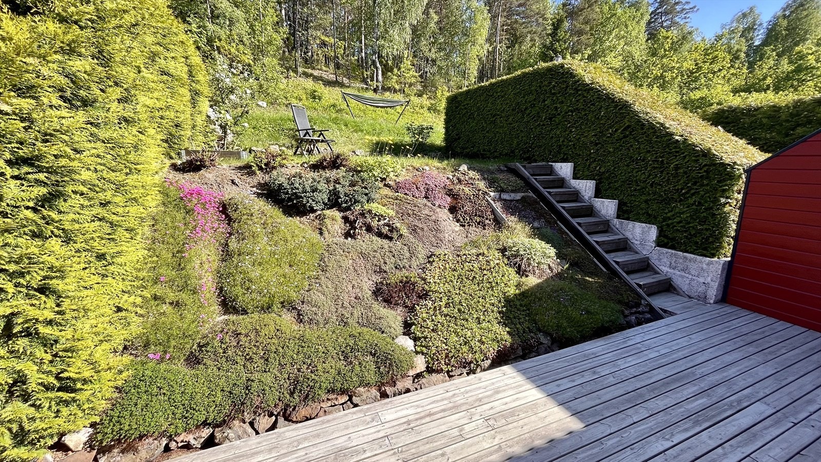 Privat bilde fra hage Galleribilde