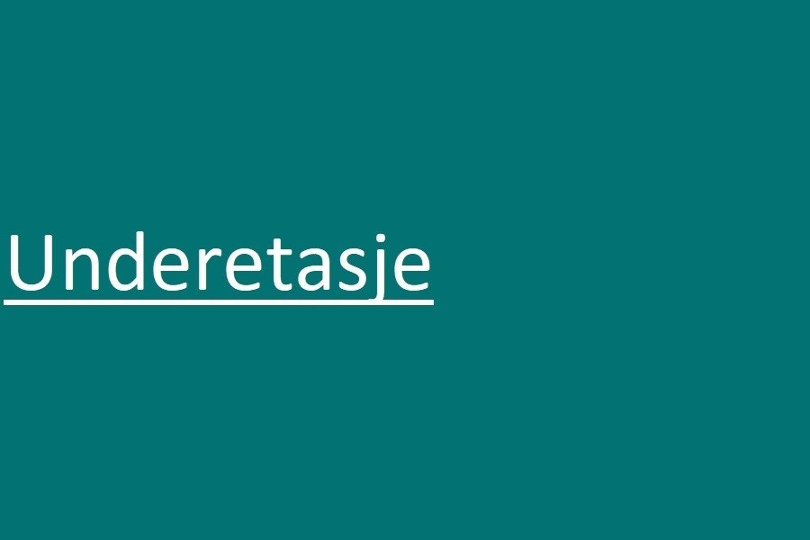 Underetasje Galleribilde