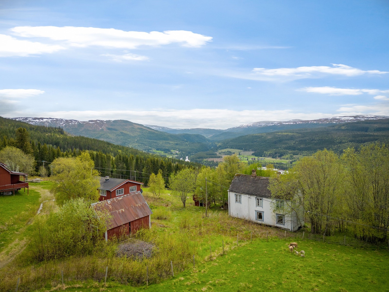 Her har du meget gode solforhold på tomten. Galleribilde