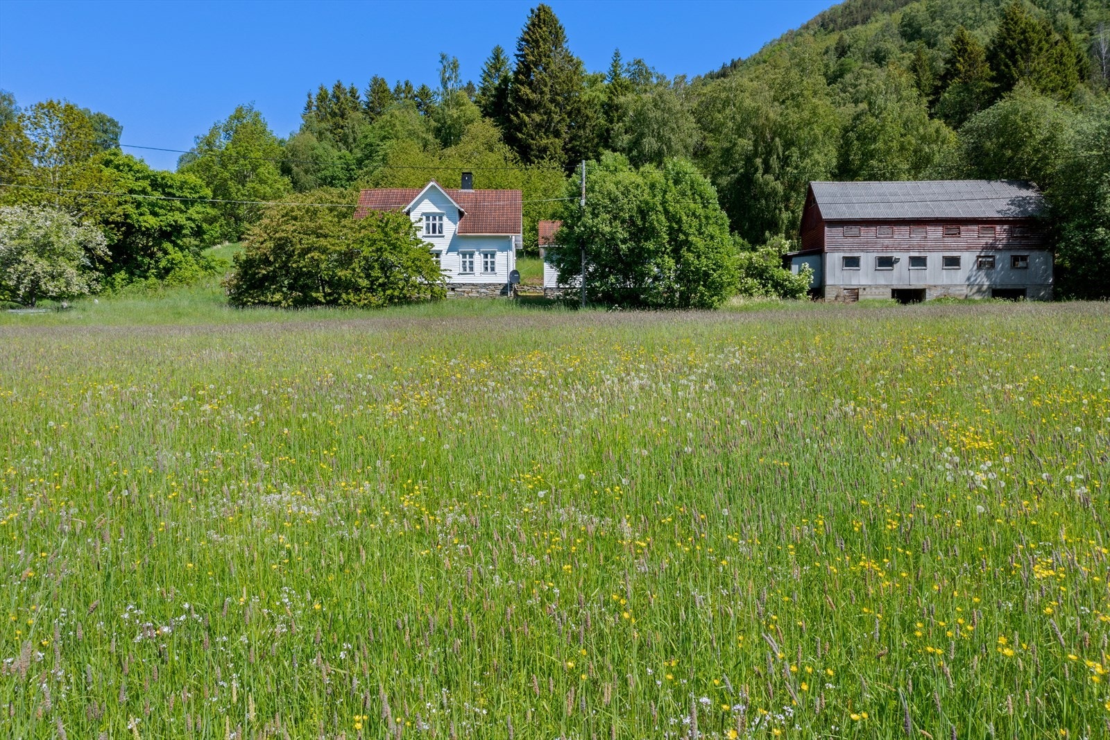 Det er per i dag ikkje drift på garden og driveplikta vert halde i hevd av ein grannegard som sler markene for å ha som grovfôr. Galleribilde