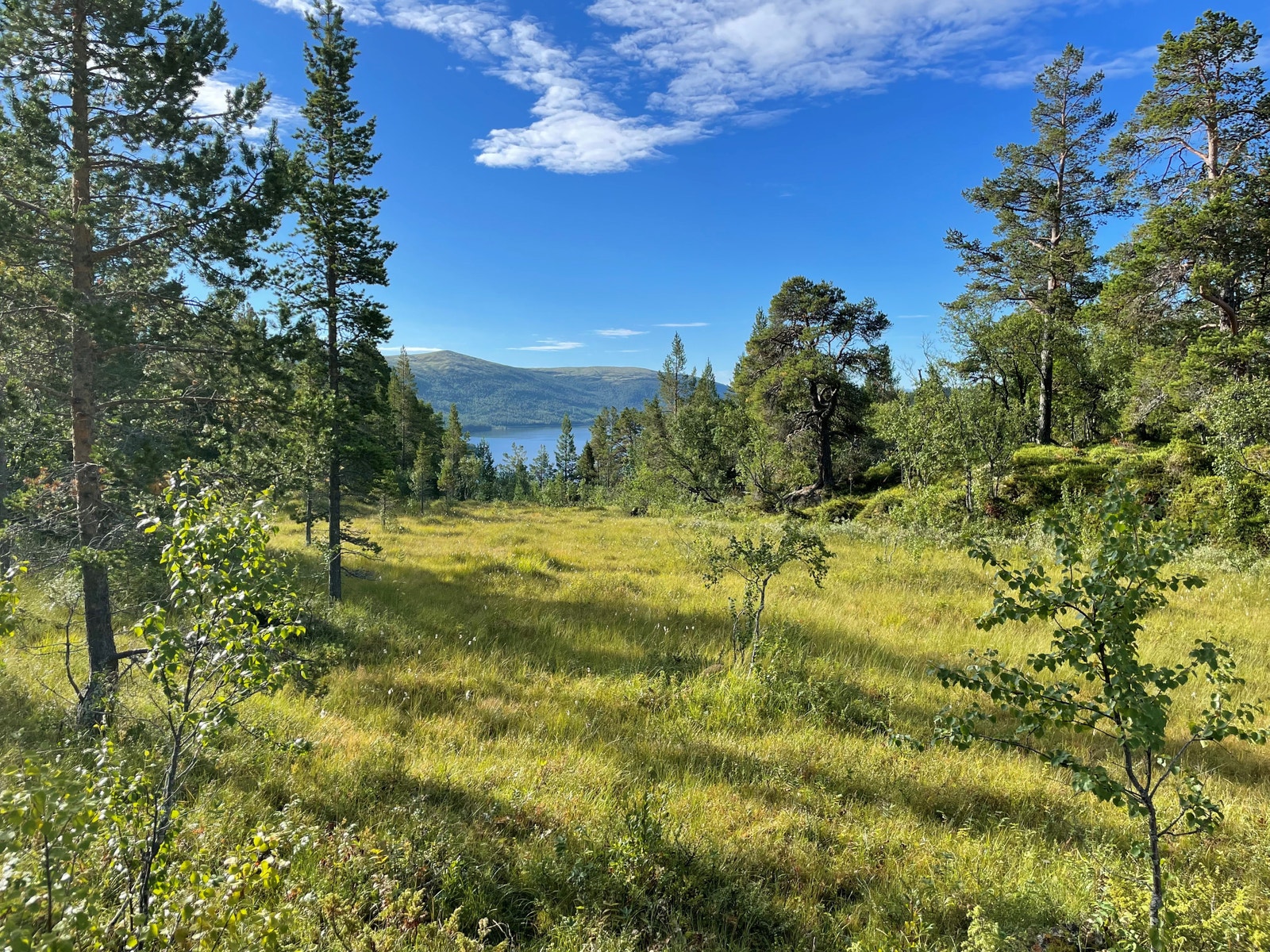 Når du kommer til Savalkletten åpner landskapet seg og du får utsikt til sjøen og fjellene rundt Galleribilde