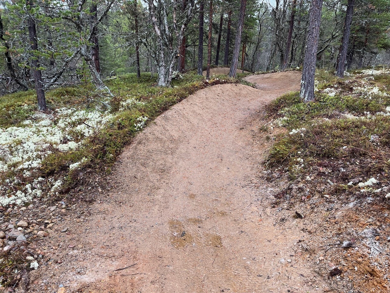 Savalen byr på mange fine sykkelstier i ulike vanskelighetsgrader Galleribilde