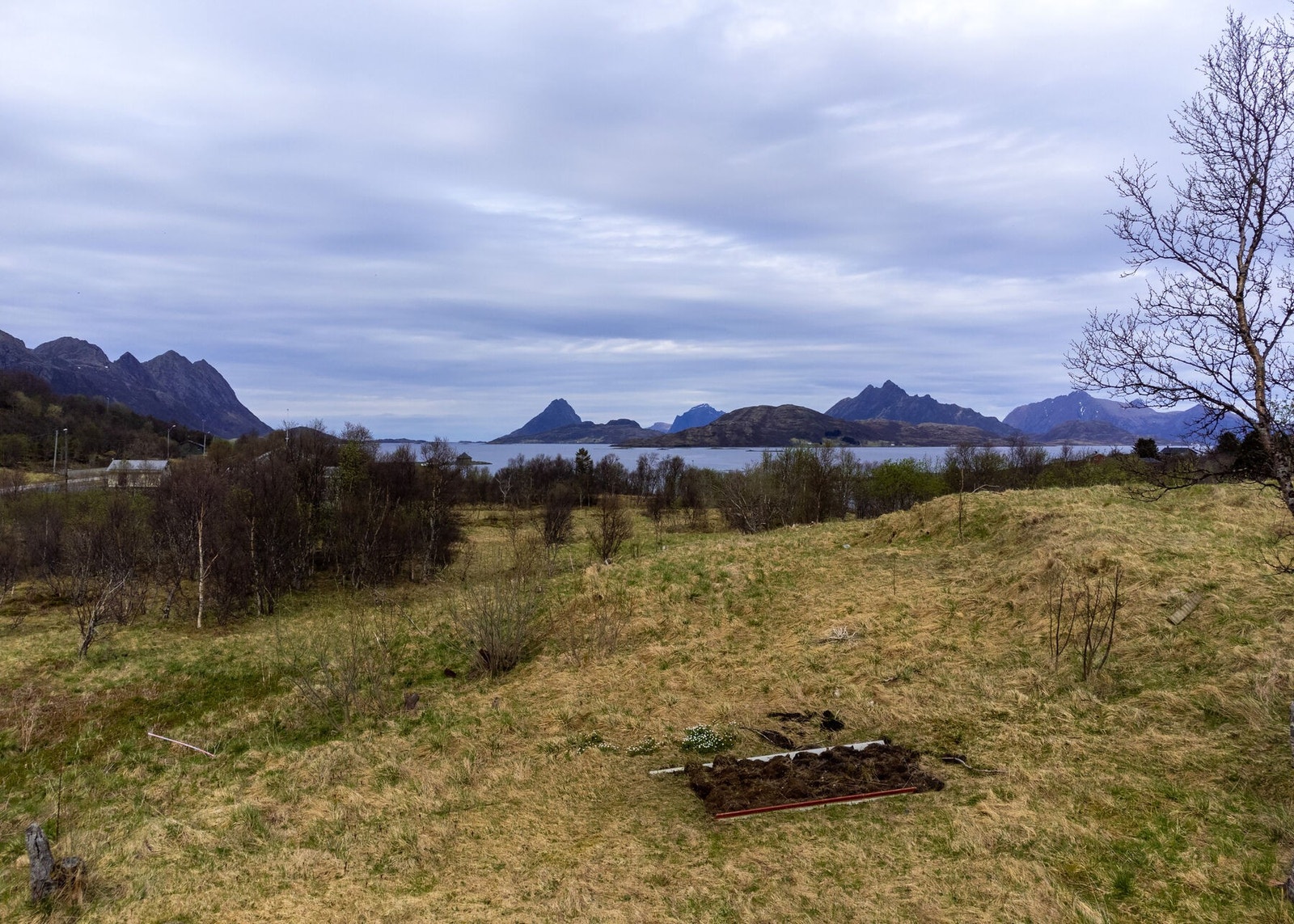 Utsyn fra tomten Galleribilde