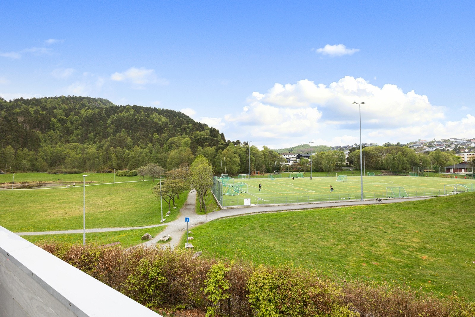 Grønt og fint foran boligen Galleribilde