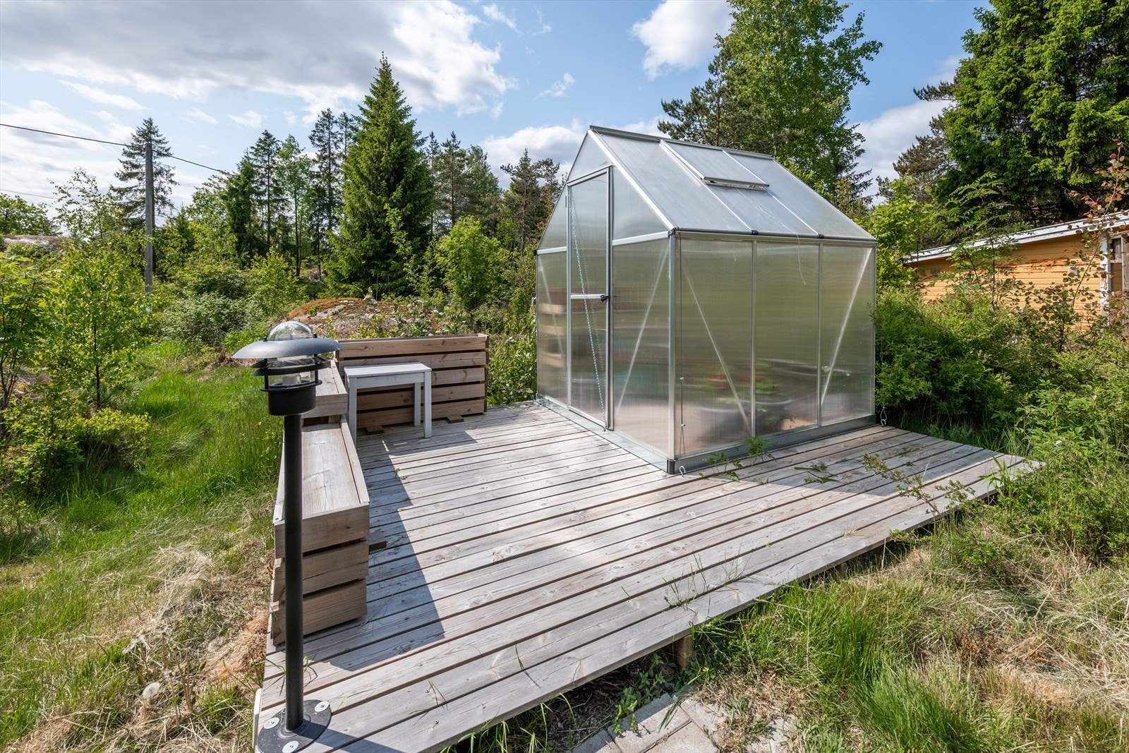 Drivhus Galleribilde