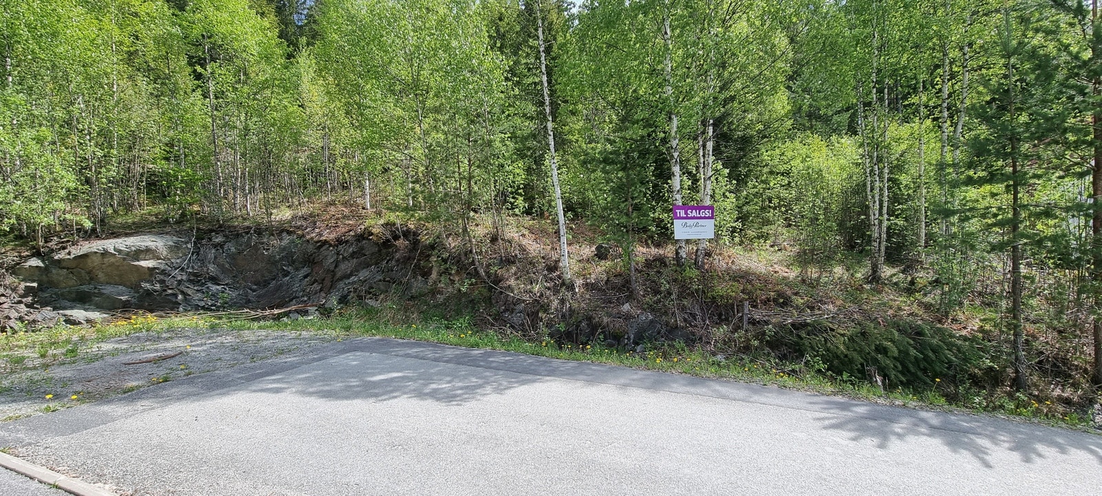 Bilde mot Øst Galleribilde