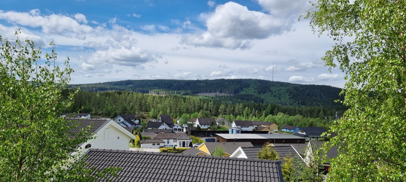 Bilde mot Sør Galleribilde