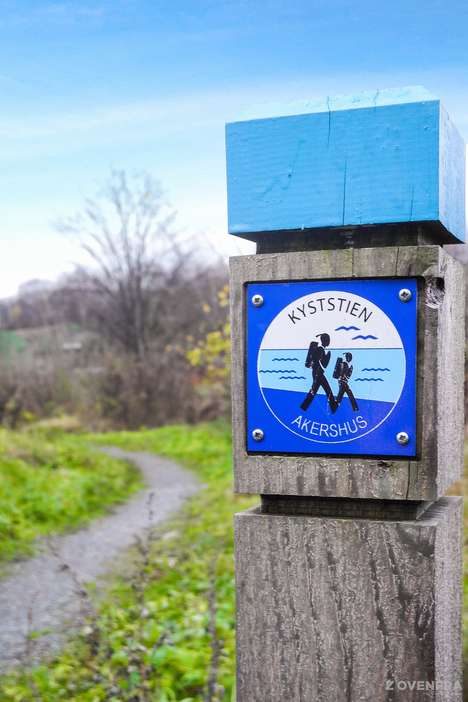 Del av kyststien på Storøya Galleribilde
