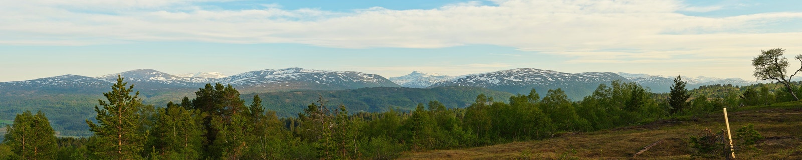 Panoramabilde mot sør Galleribilde