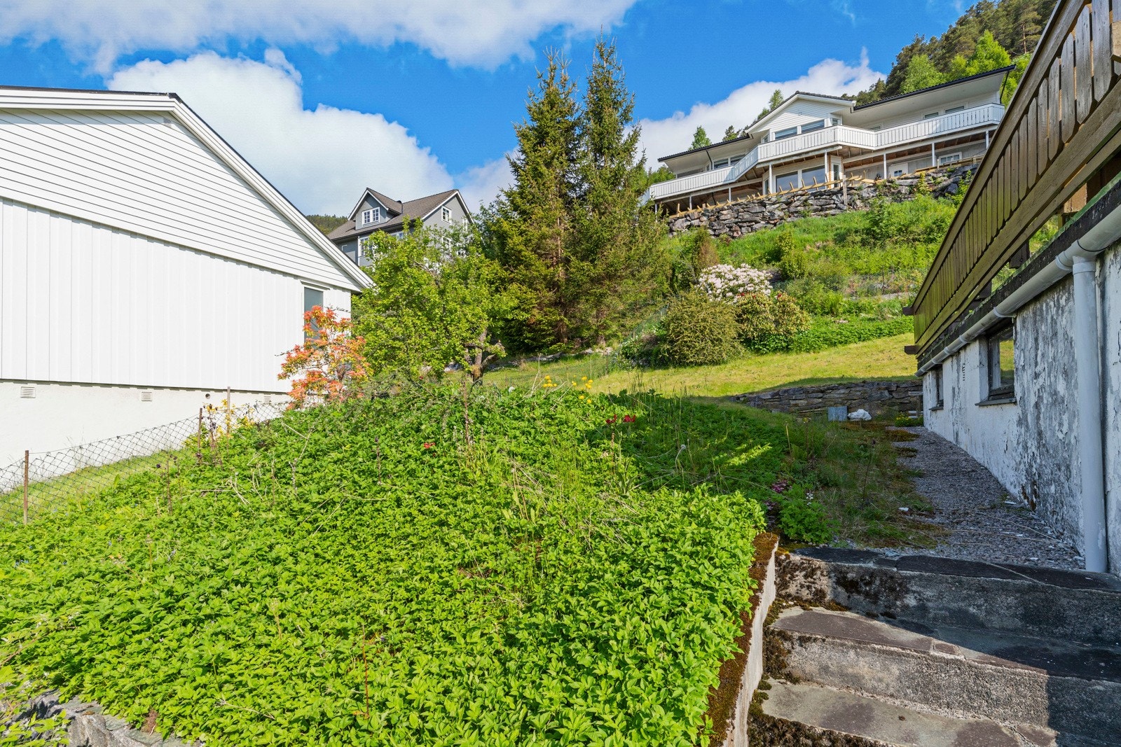 Rundt boligen er det opparbeida hage Galleribilde