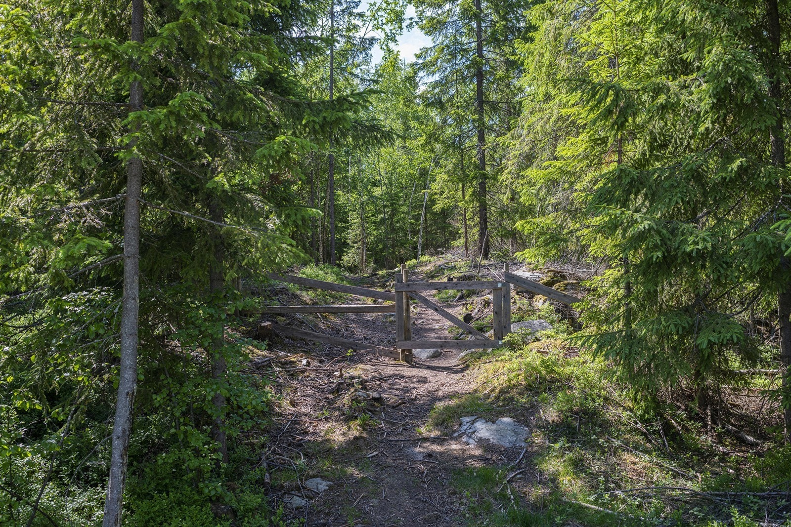Her bor du tett på naturen med meget godt nettverk av tur- og sykkelstier. Galleribilde