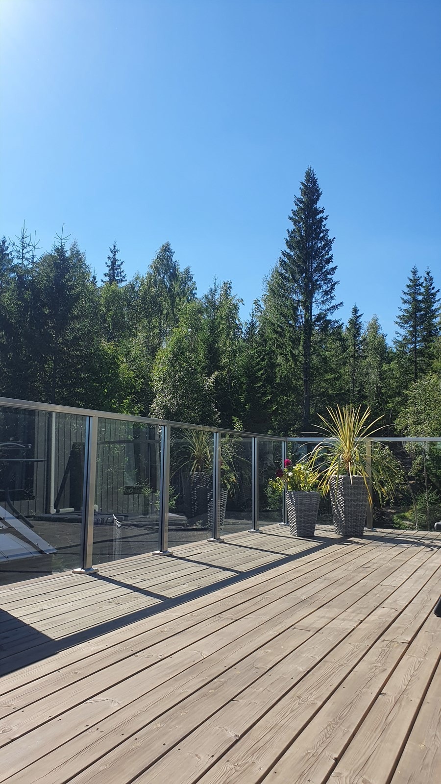 Selger sitt bilde - sommertid. Galleribilde