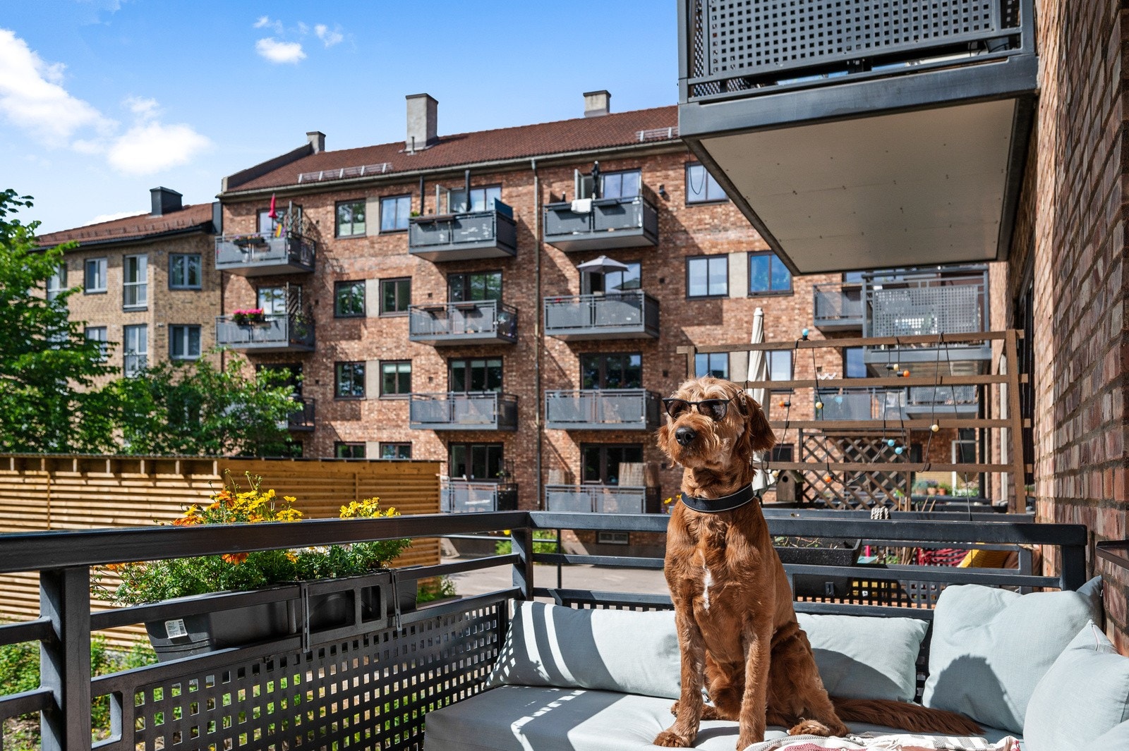 Den firebeinte sjefen i huset, Fredrik, ønsker deg velkommen til hans drømmeleilighet i hjertet av Oslo! Galleribilde