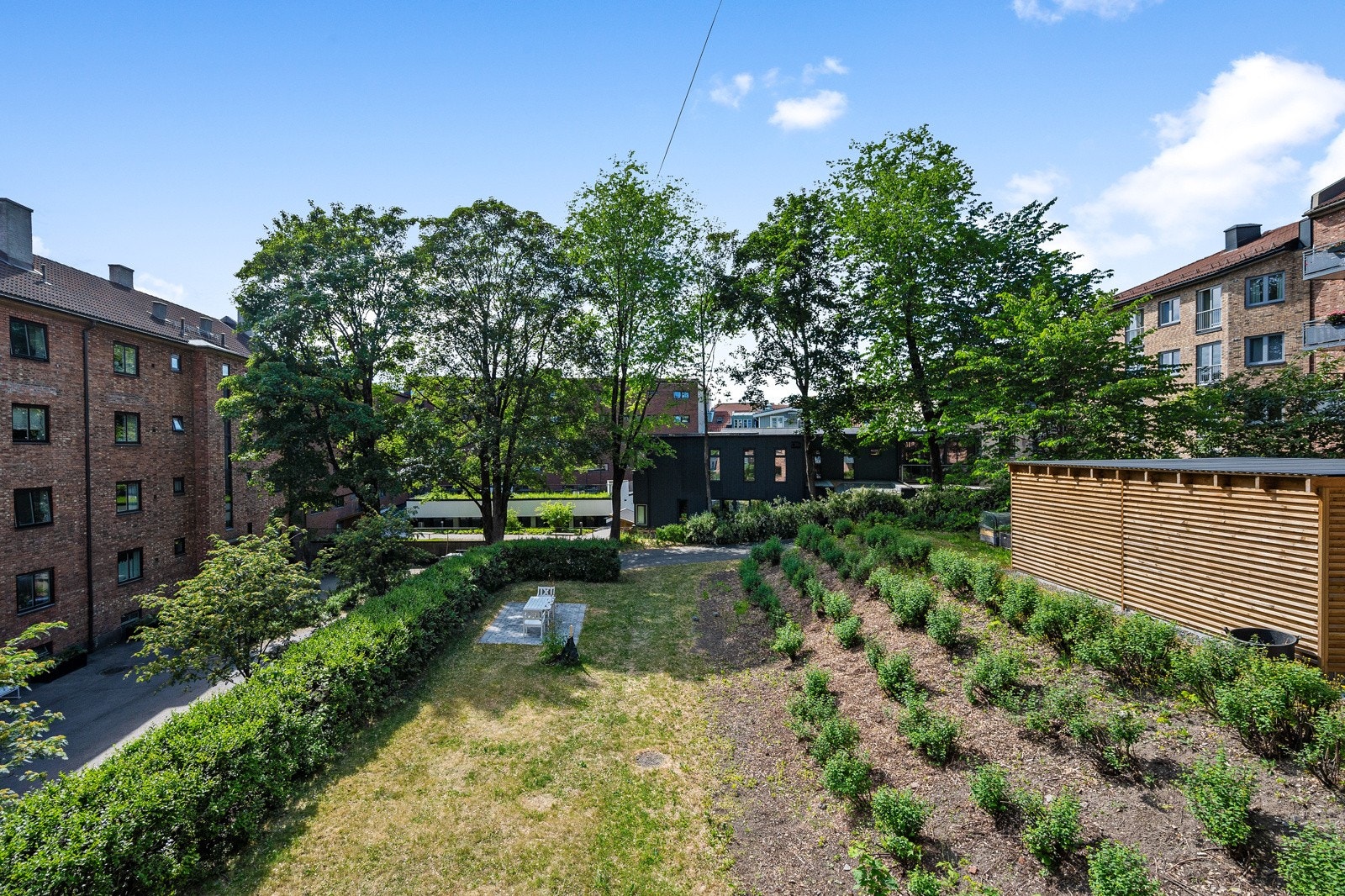 Det er ikke ofte en slik utsikt, såpass sentralt i Oslo kommer for salg. Galleribilde