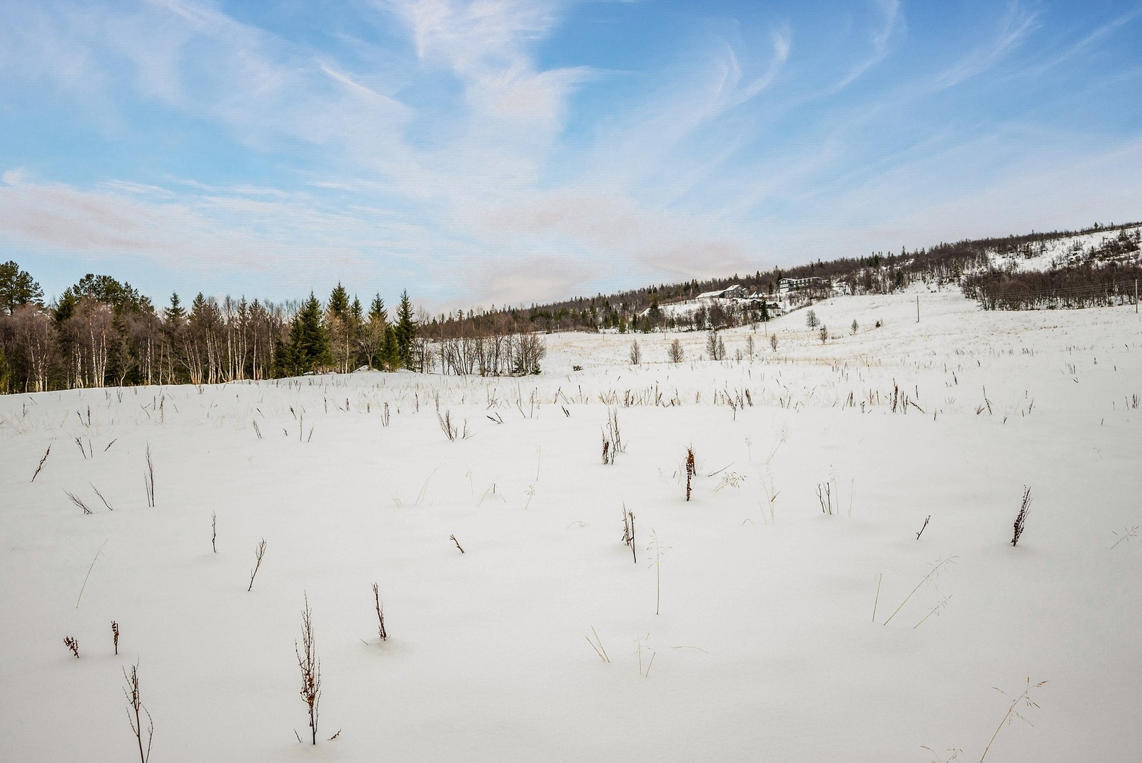 Nærområde Galleribilde