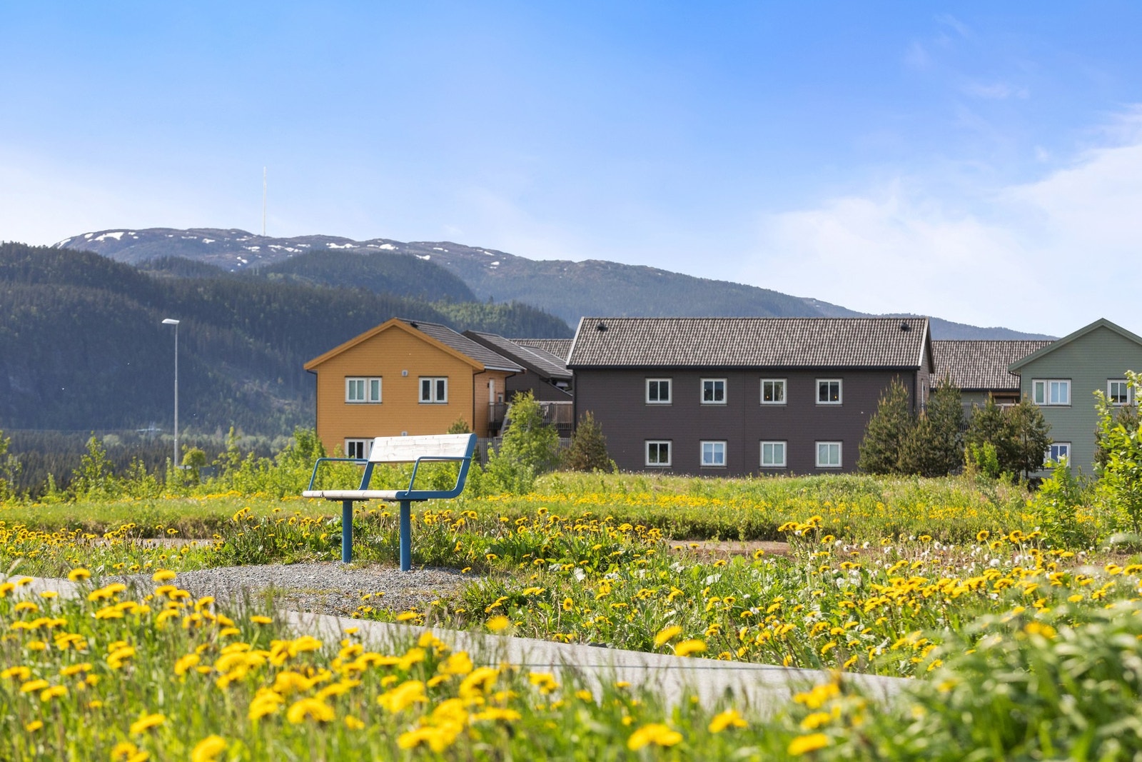 Leiligheten ligger i frodige omgivelser på Tiller hageby. Galleribilde