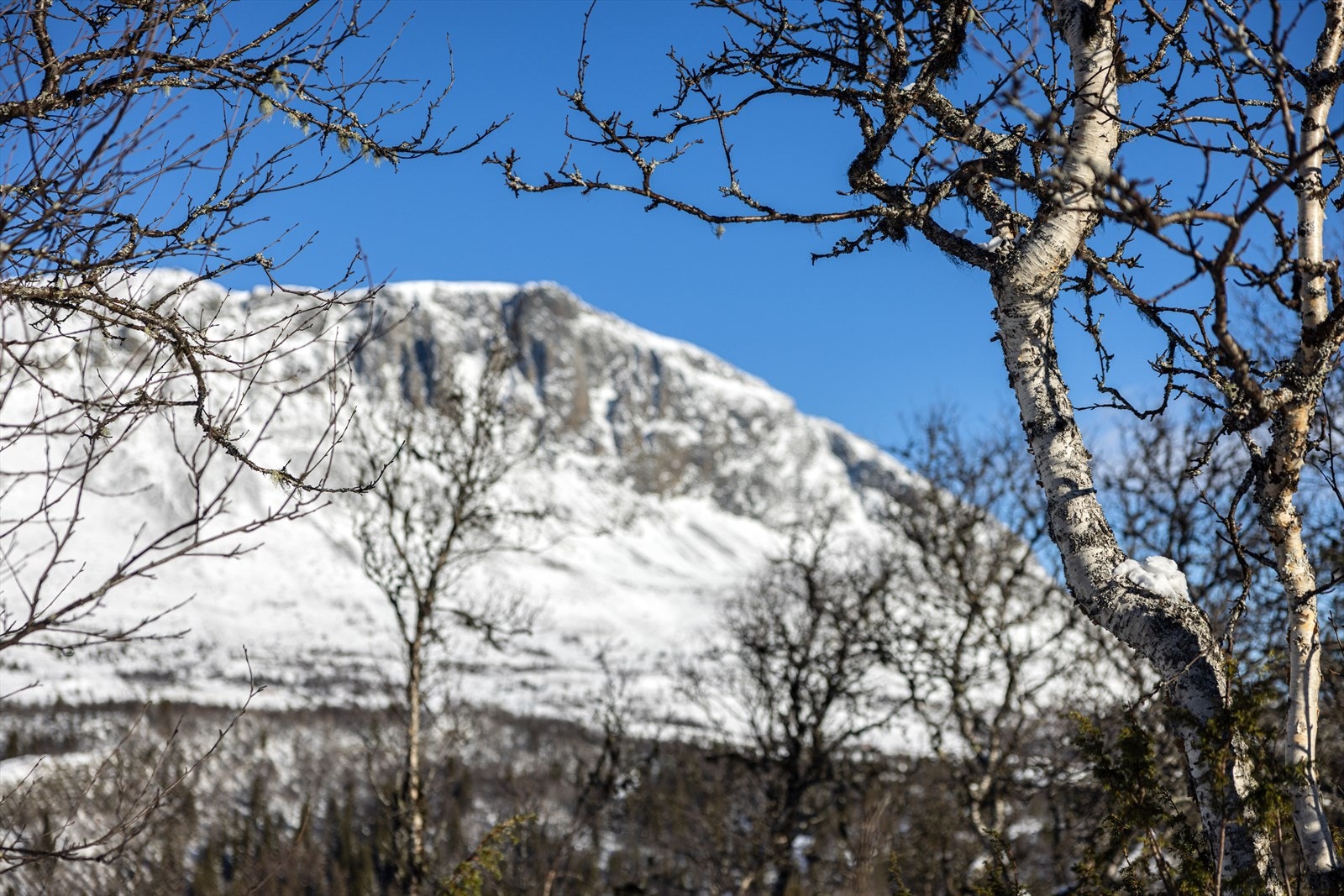 Fra tomten har du utsikt mot den mektigste fjellrekken i Hemsedal! Galleribilde