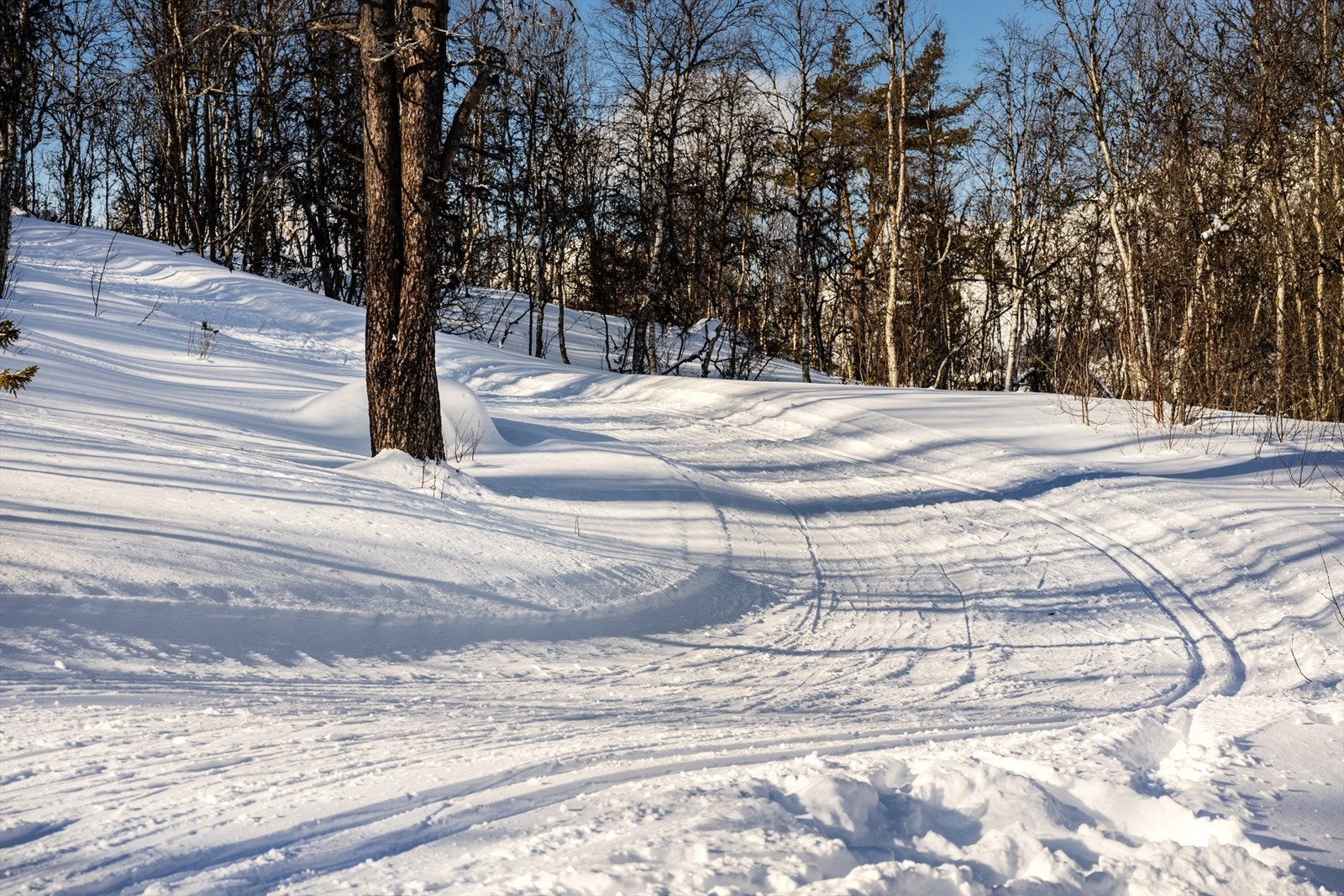 Ett snøballkast fra tomten ligger langrennsløypene som følger Helsingvatn rundt. Dette er også et fint utgangspunkt for å gå videre mot Gravset, Blomeslettane eller Golsfjellet. Galleribilde