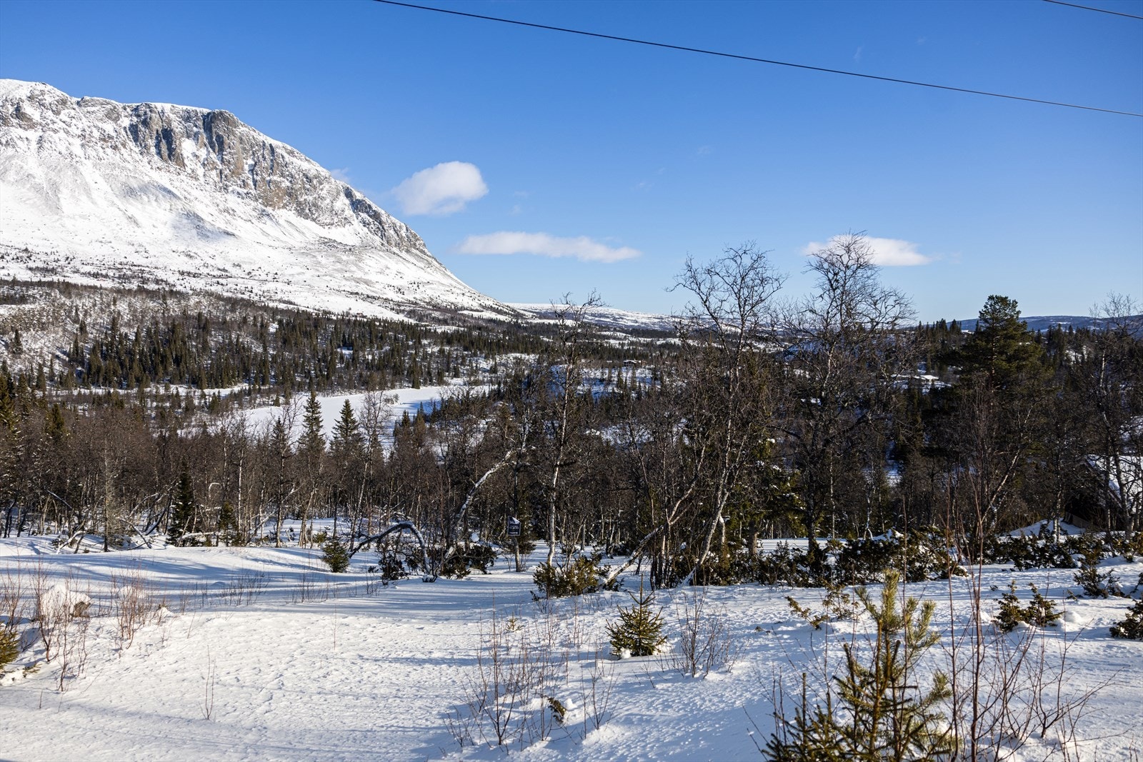 Tomten i åpent område og utsikt over Lintjern mot Skogshorn. Galleribilde