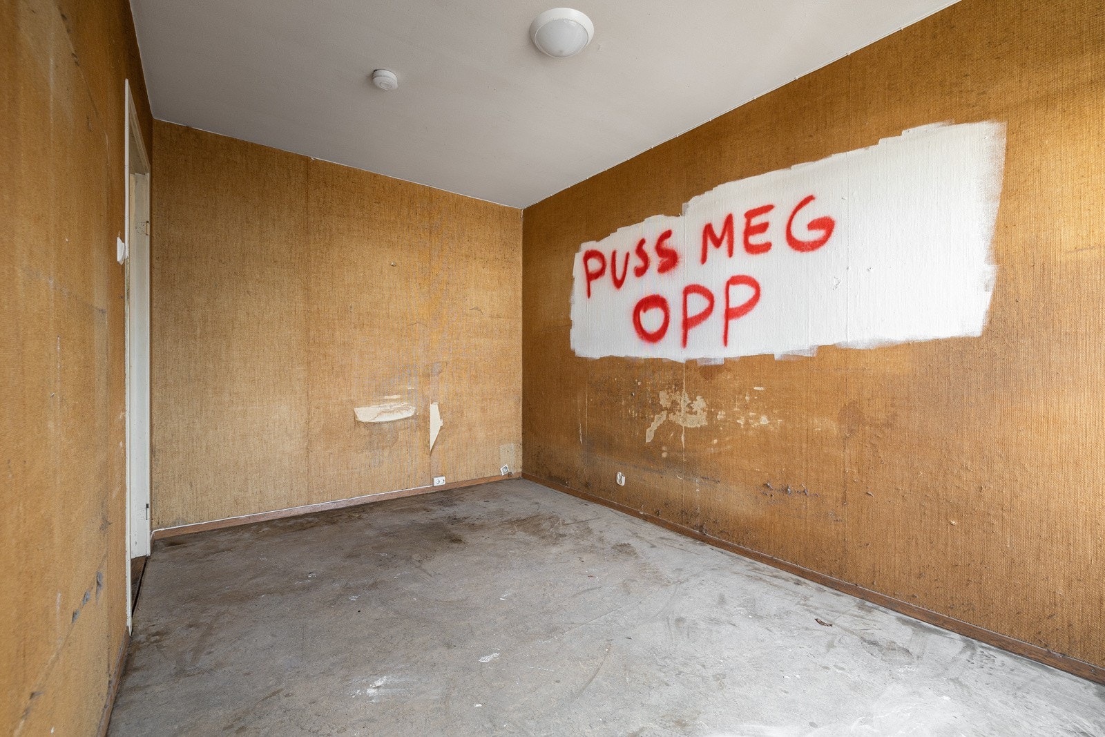 Meget god planløsning med mye potensial. Galleribilde