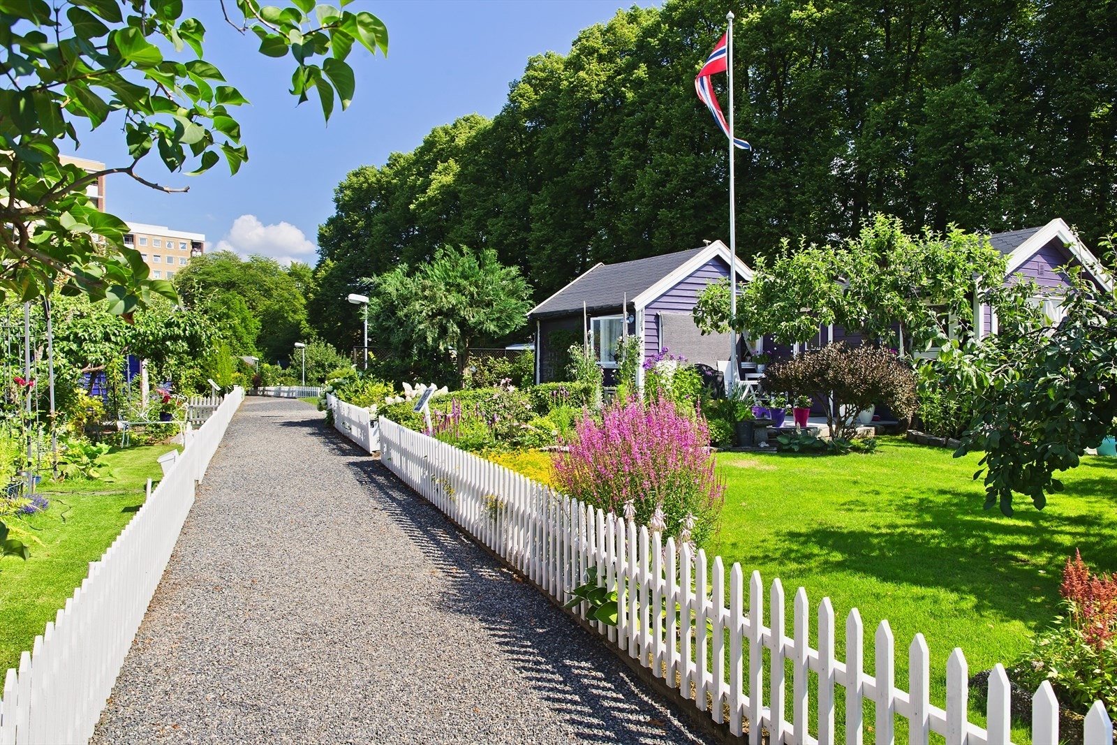 En av de aller nærmeste naboene er Hjemmets Kolonihager. Galleribilde