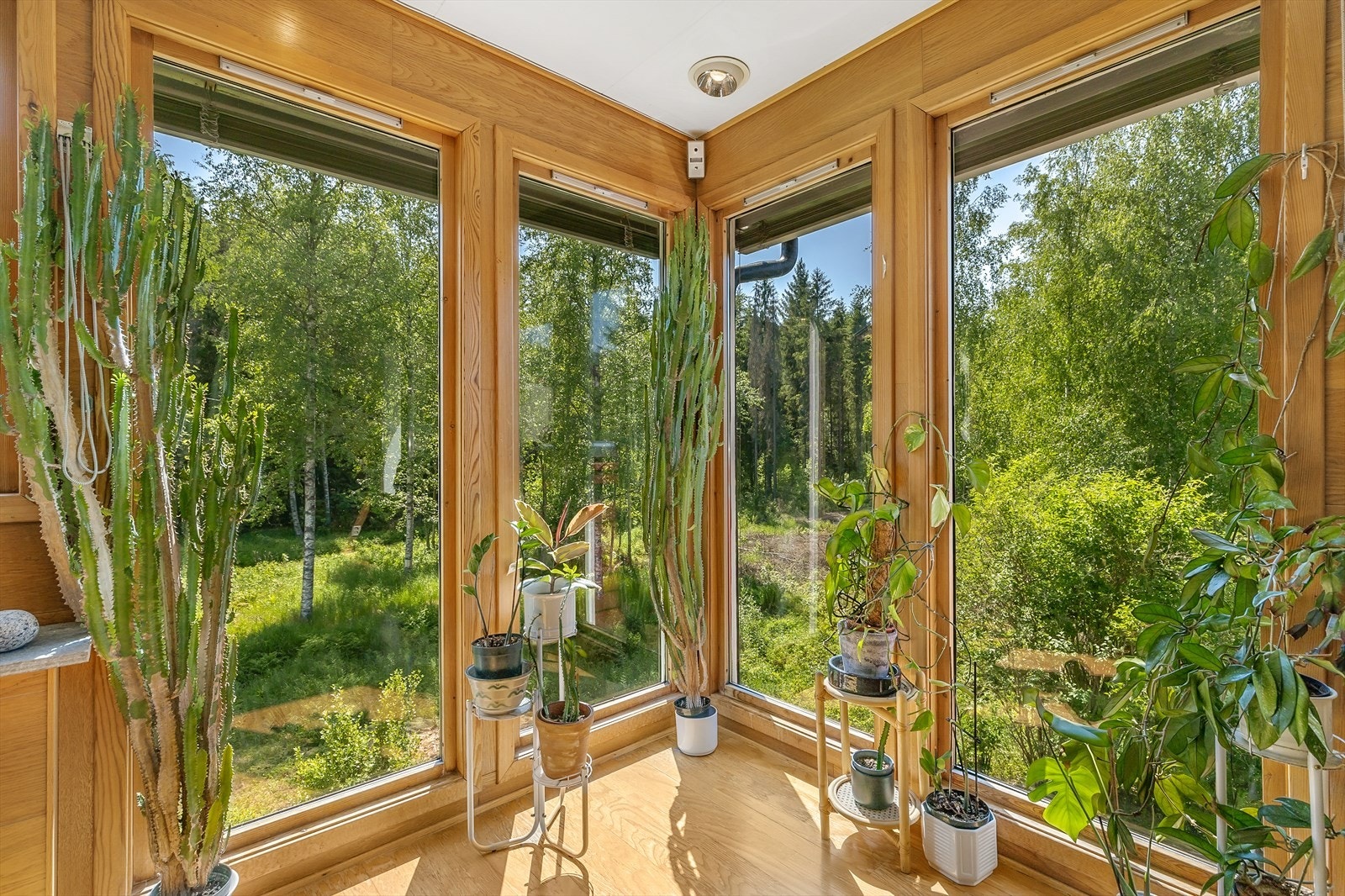 Her får du like flott utsikt inne som ute. Både sentral og idyllisk beliggenhet! Galleribilde