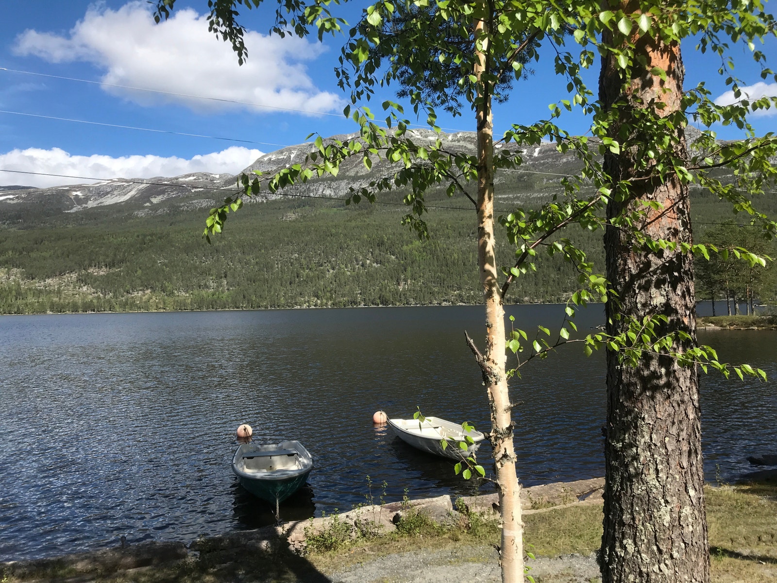 Brygge med mulighet for leie av båt plass. Galleribilde